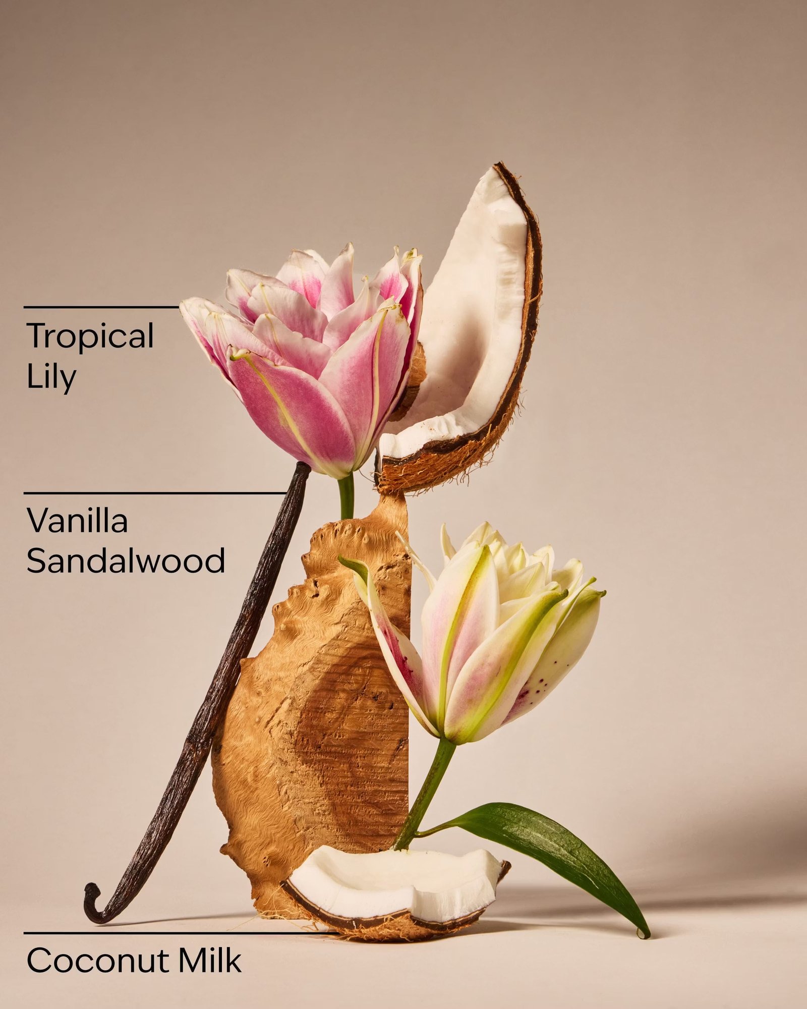 Eau De Coconut Fine Fragrance Mist - Image 3