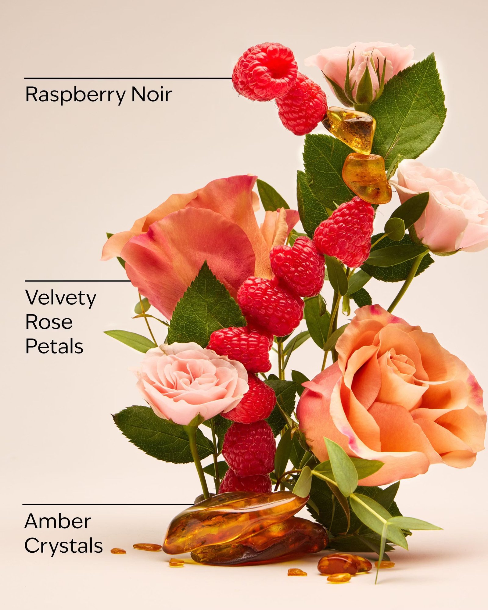 Into the Night Fine Fragrance Mist - Image 3