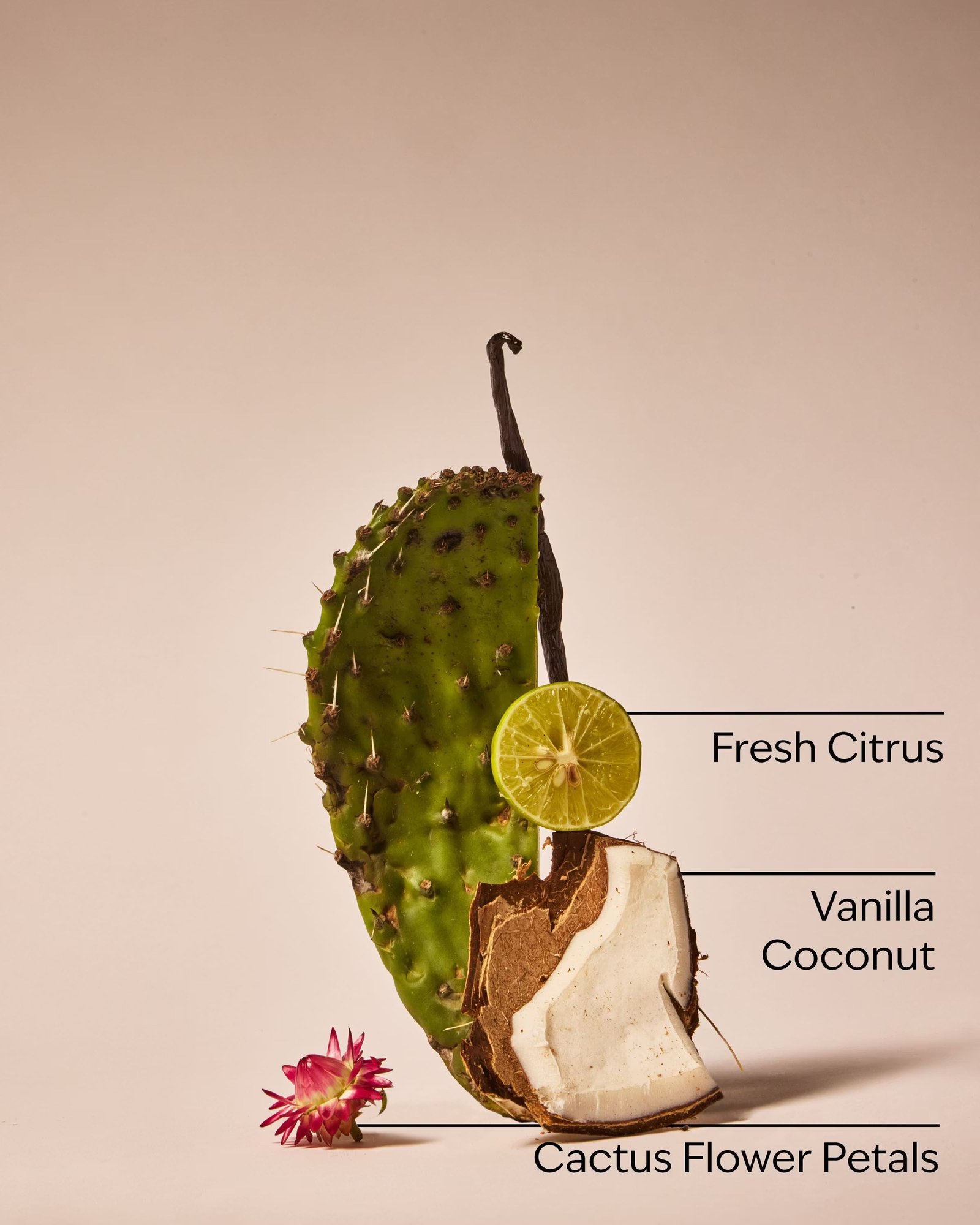 Cactus Blossom 3-Wick Candle - Image 3