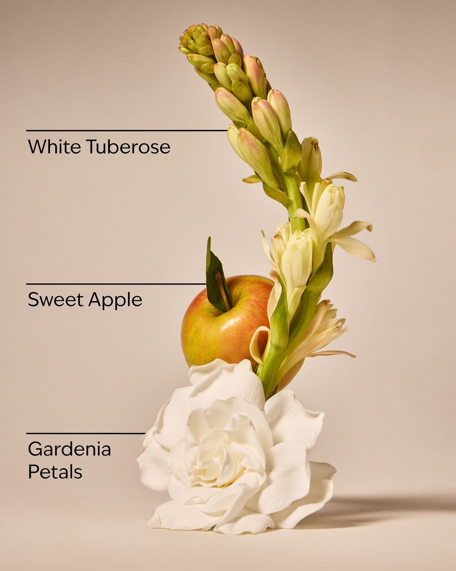 White Gardenia 3-Wick Candle - Image 3
