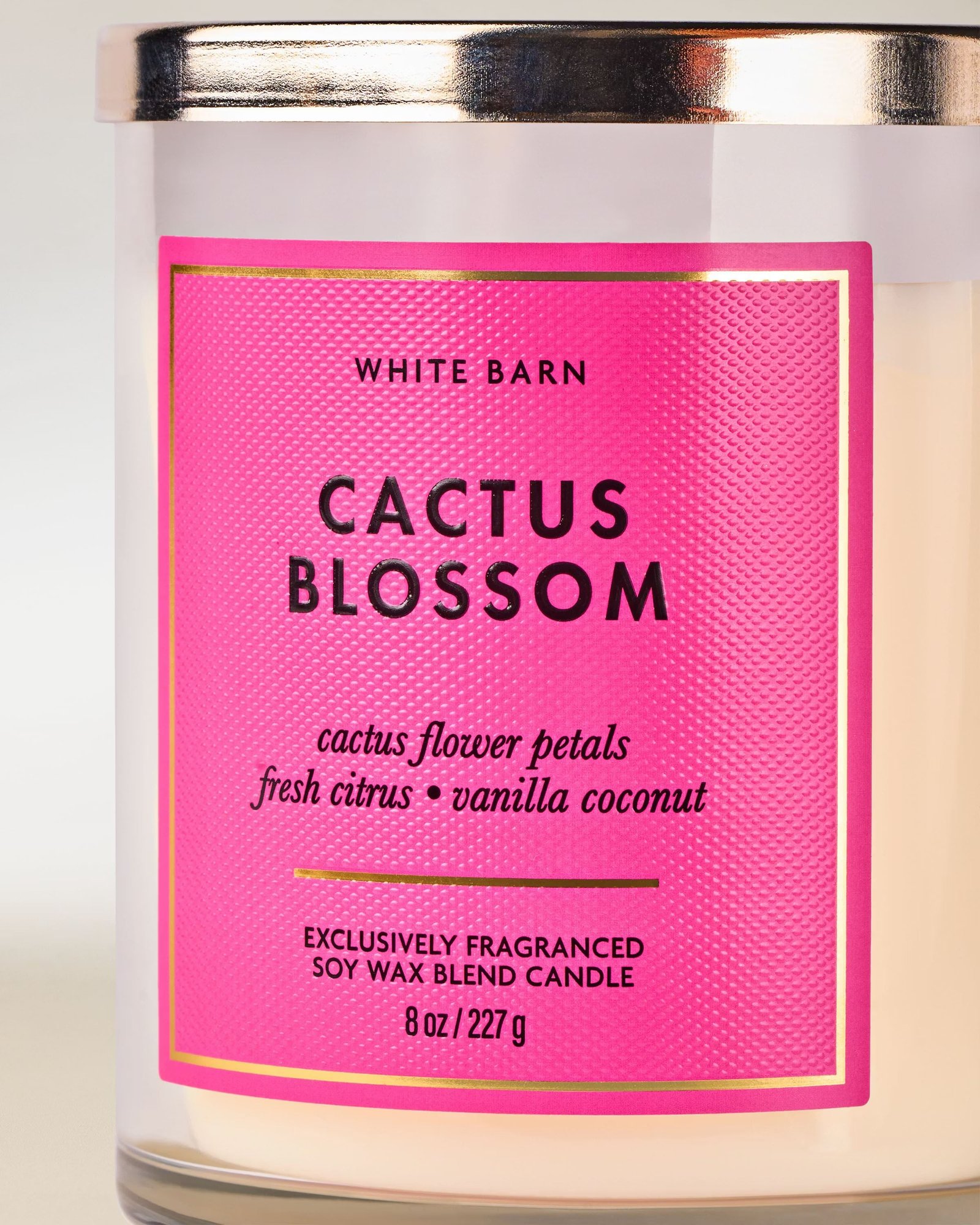Cactus Blossom Single Wick Candle - Image 2