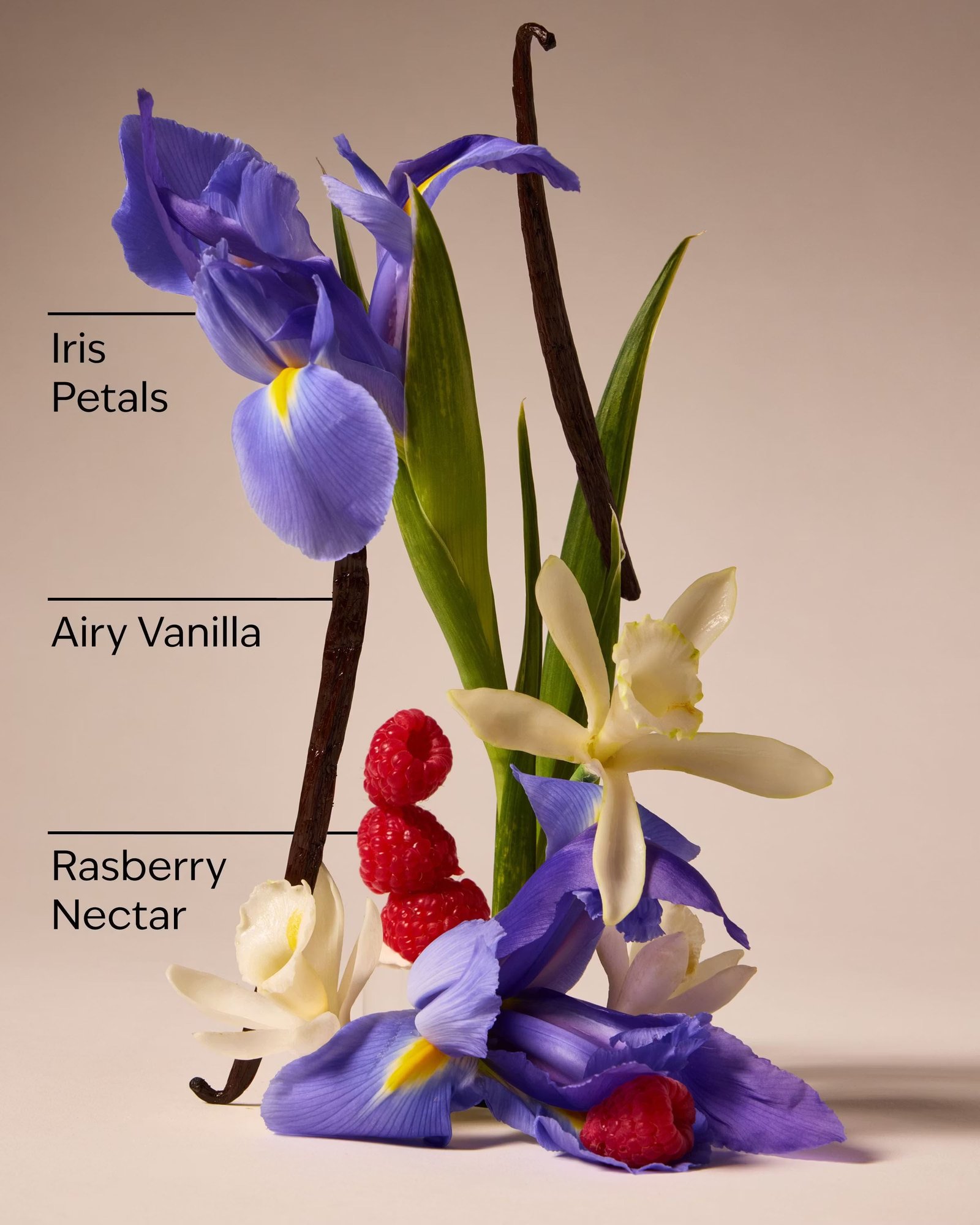 Butterfly Moisturizing Body Wash - Image 3