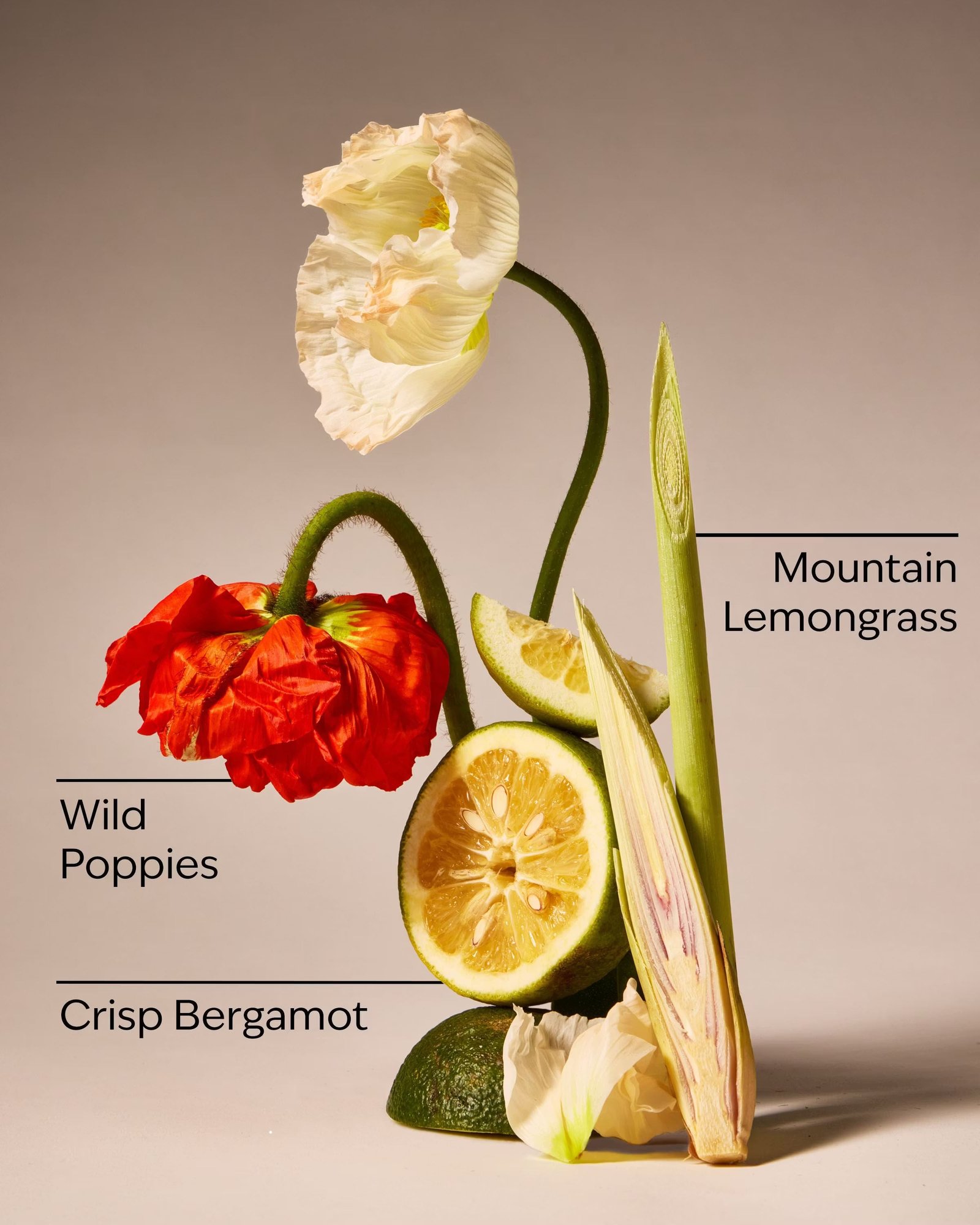 Mountainside Wildflower 3-Wick Candle - Image 3