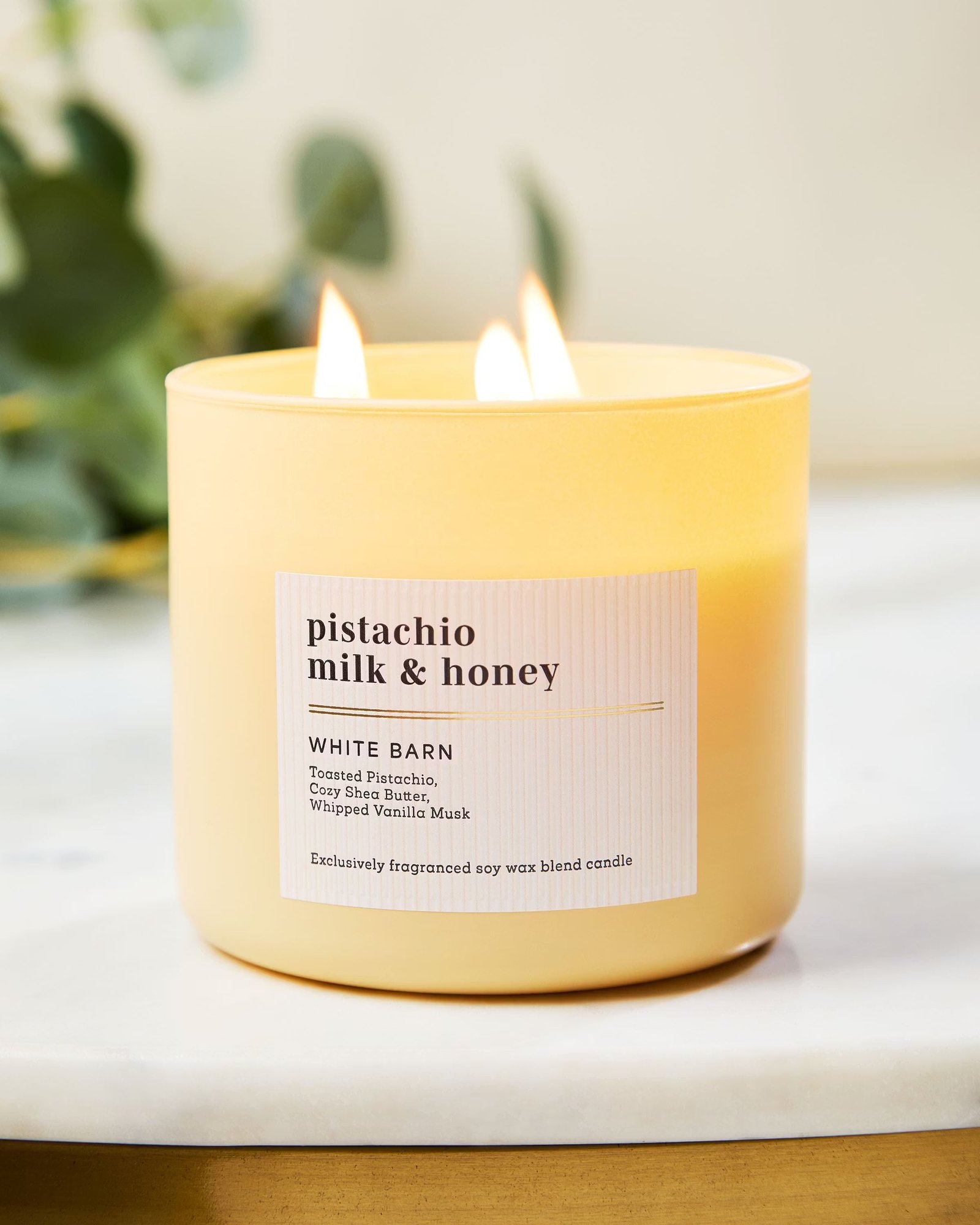 Pistachio Milk & Honey 3-Wick Candle - Image 6