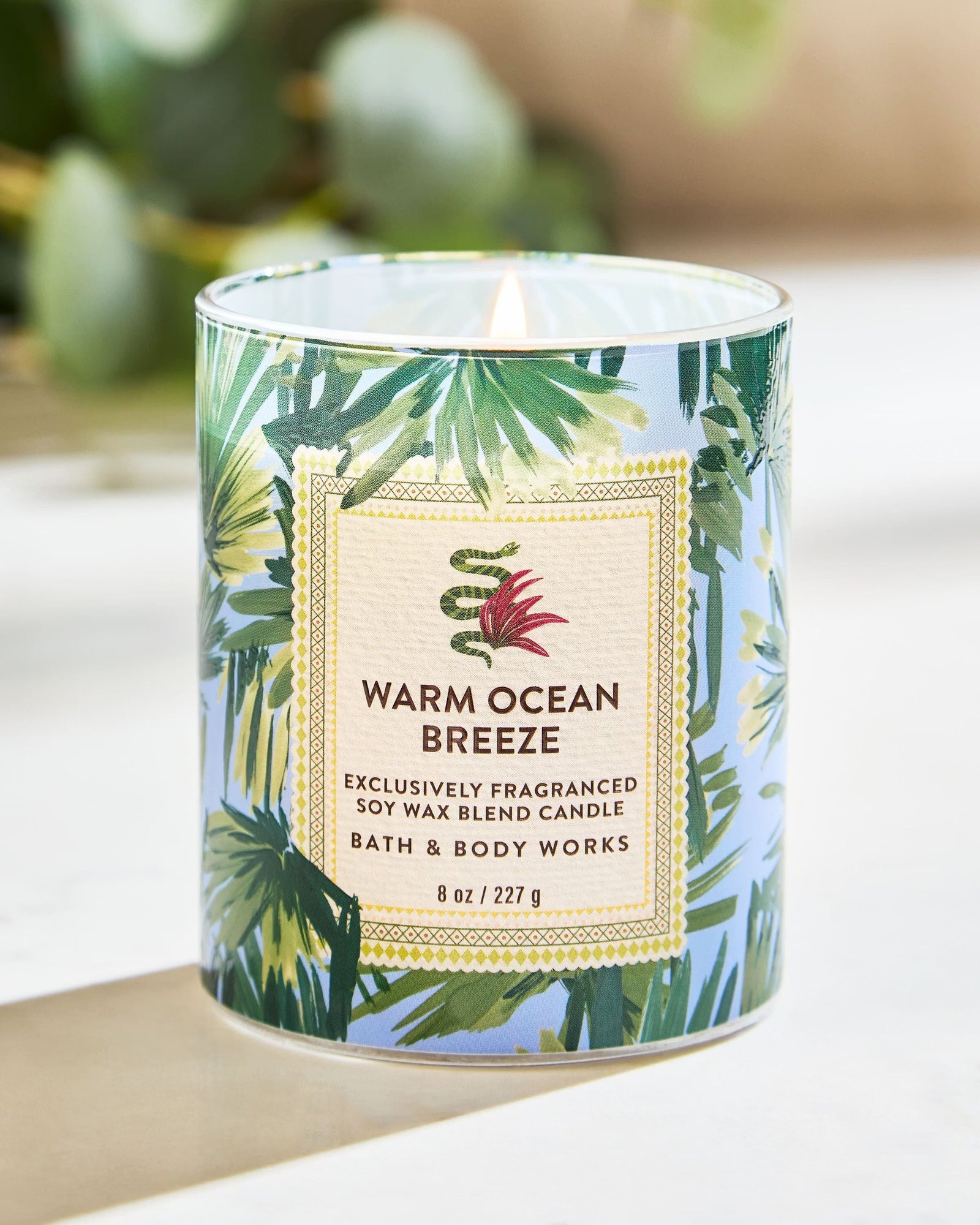Warm Ocean Breeze Single Wick Candle - Image 6