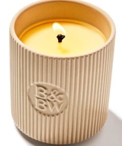 Alternative view of Vanilla Bean Single Wick Candle