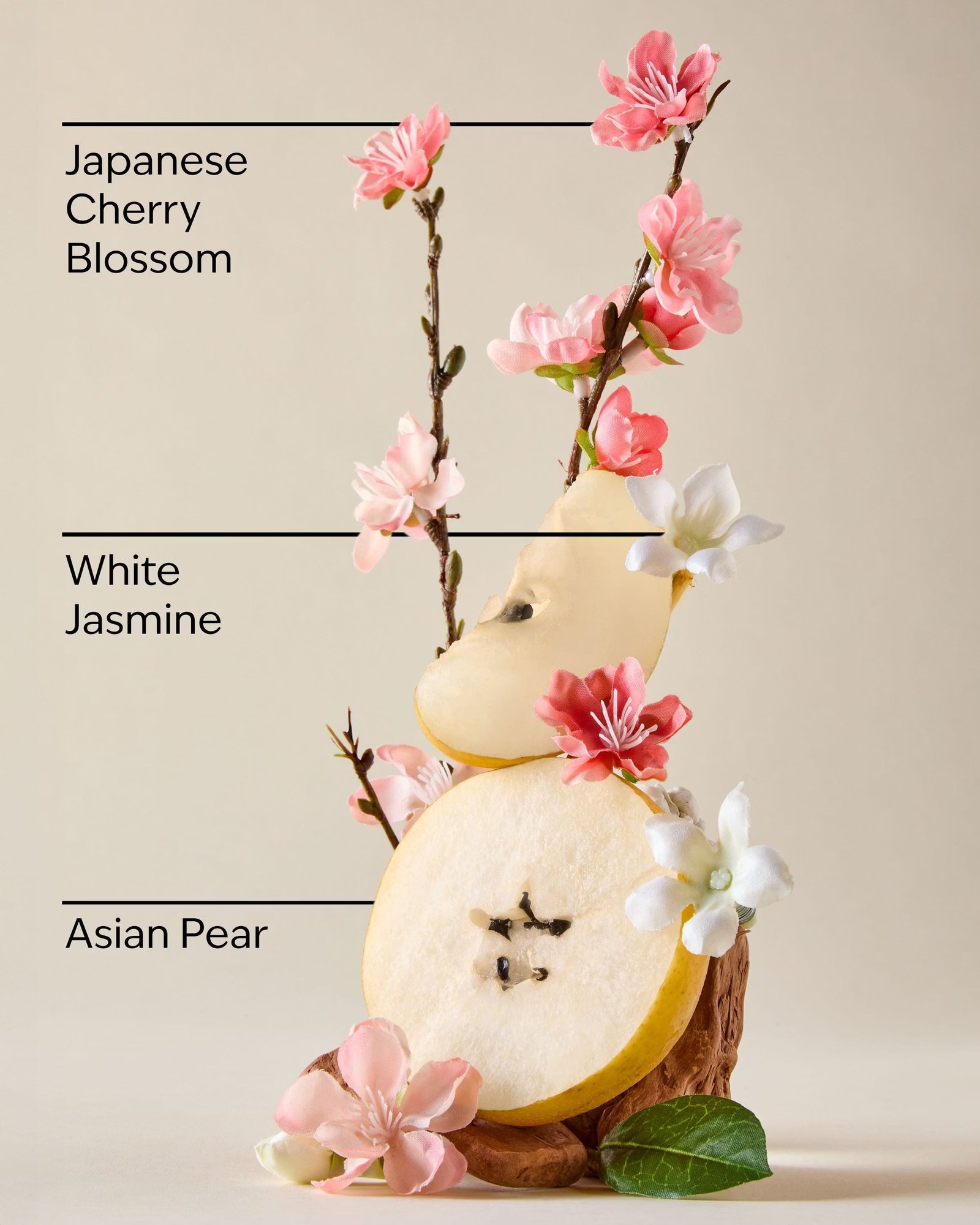 Japanese Cherry Blossom Conditioner - Image 4