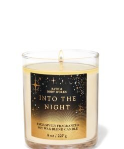 Into the Night Single Wick Candle