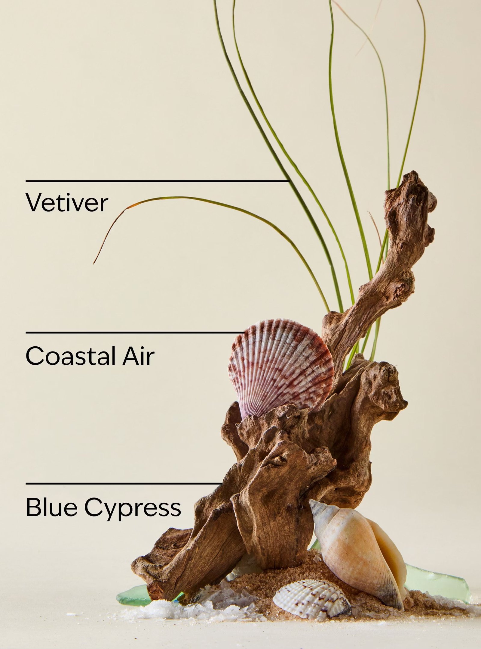 Ocean Shea Butter Cleansing Bar - Image 3