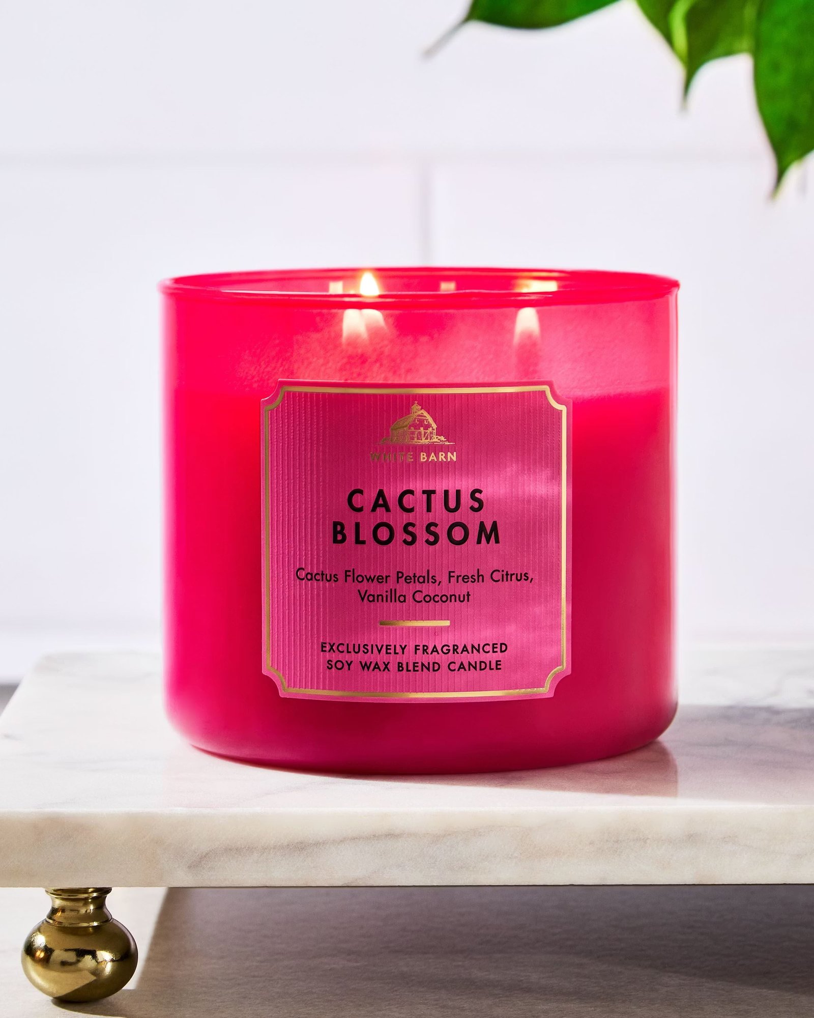 Cactus Blossom 3-Wick Candle - Image 6