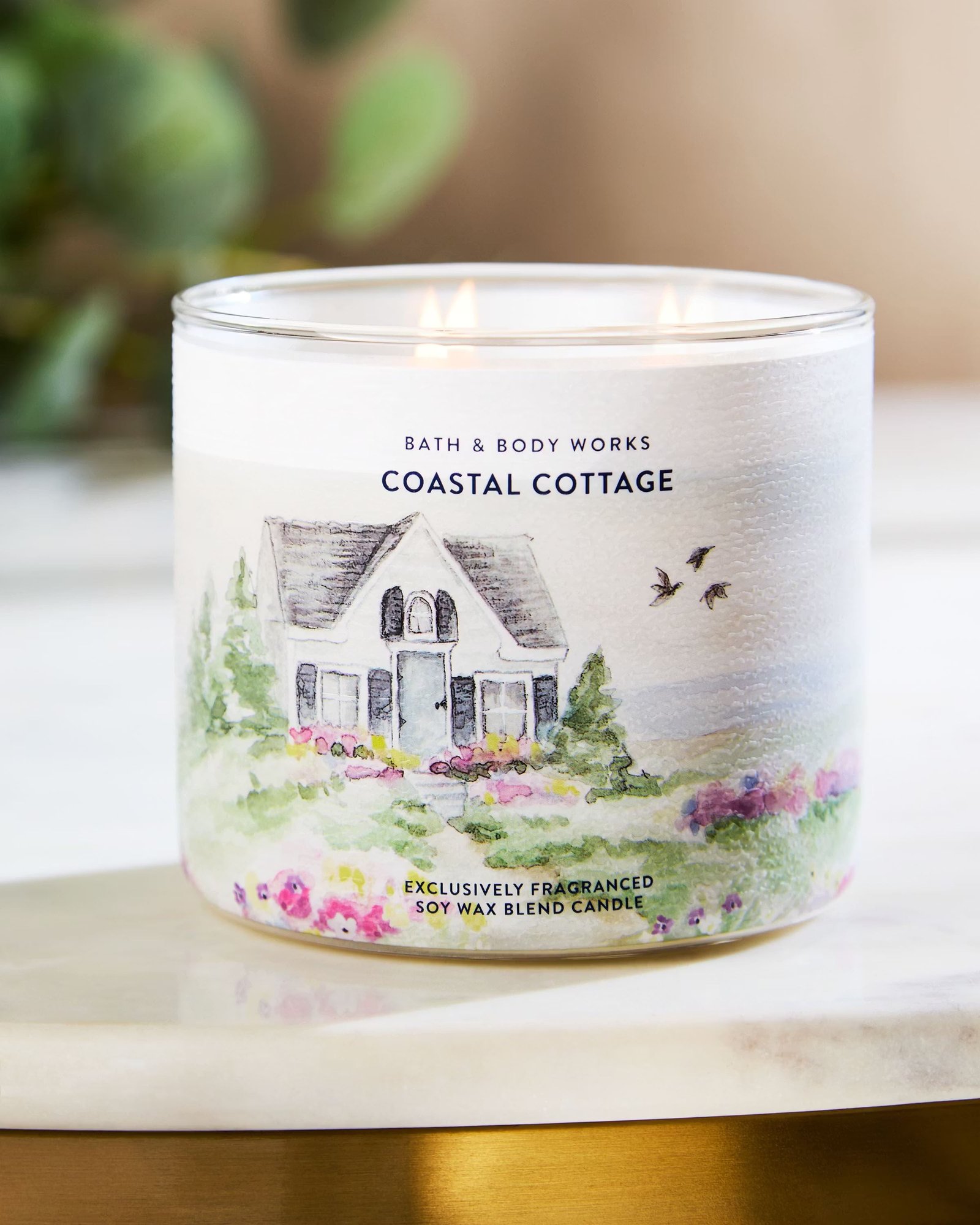 Coastal Cottage 3-Wick Candle - Image 6