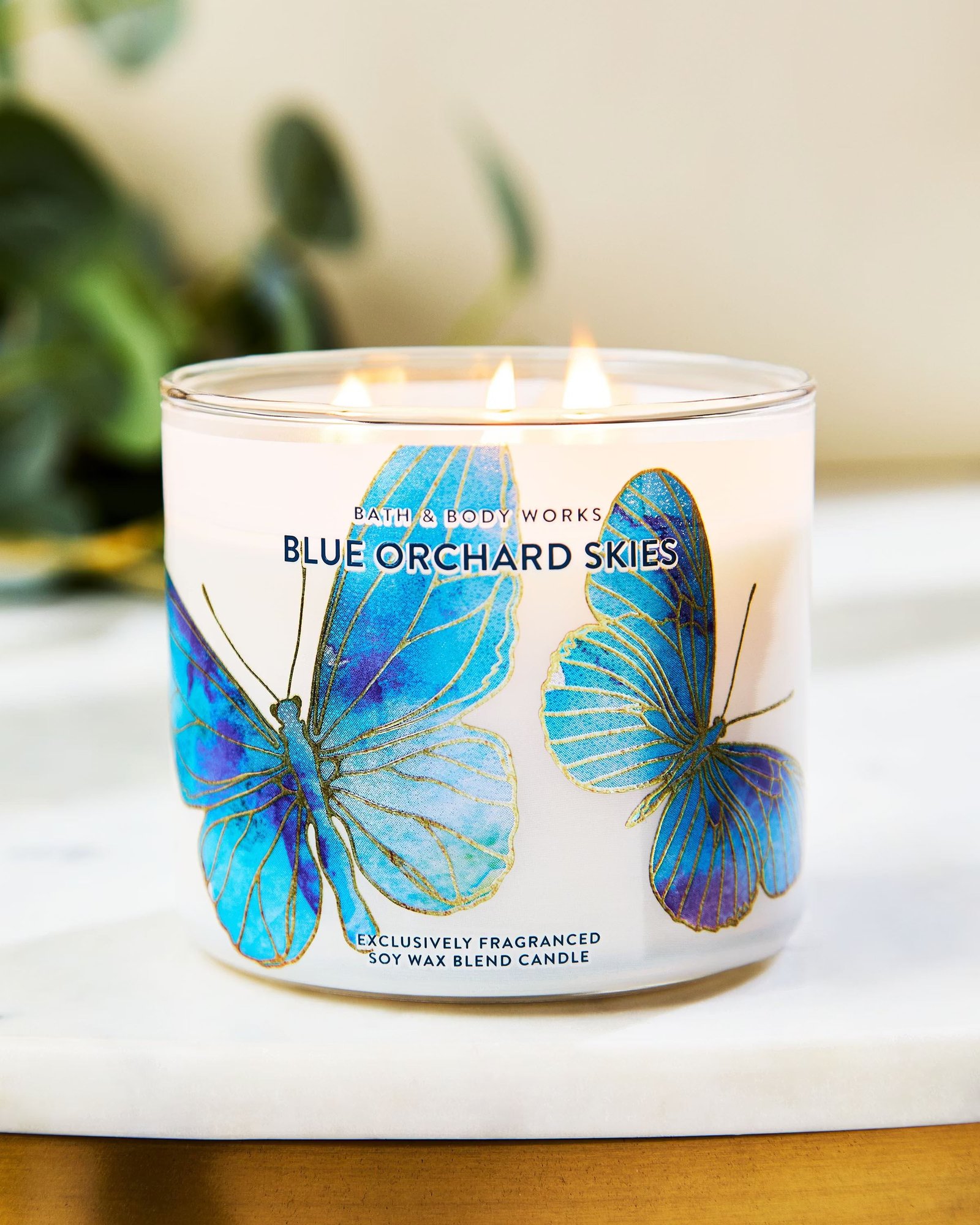 Blue Orchard Skies 3-Wick Candle - Image 6