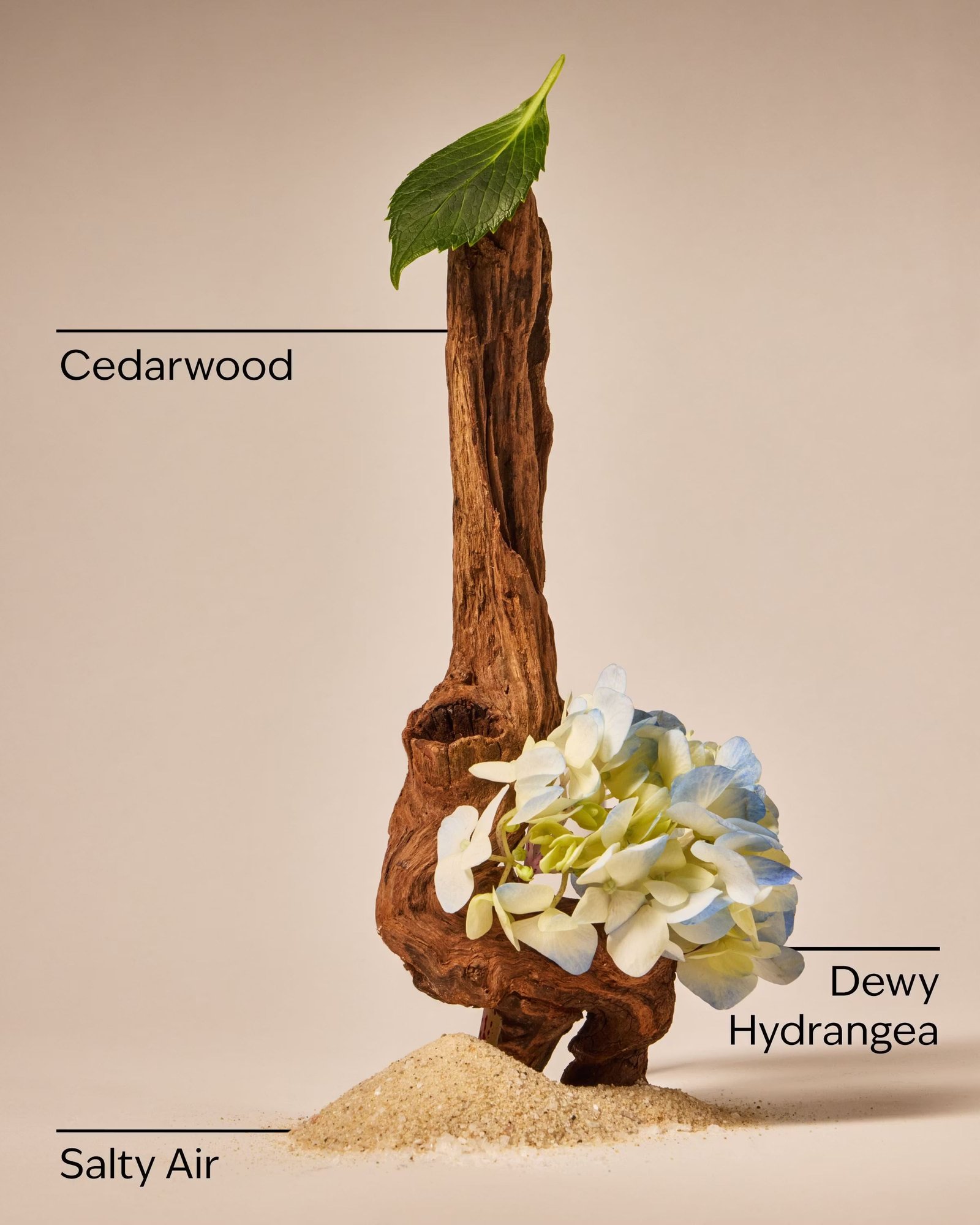 Shoreline Hydrangea 3-Wick Candle - Image 3