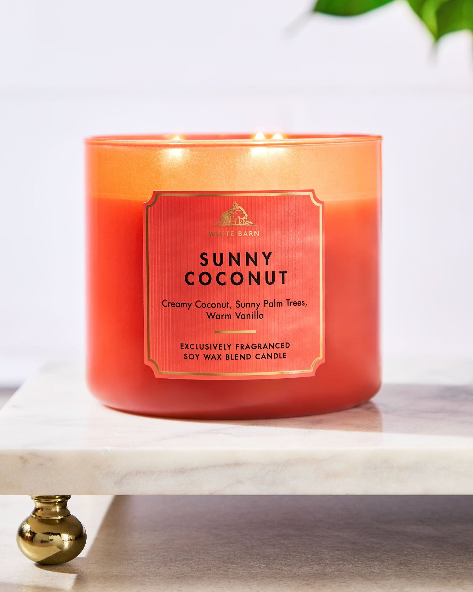 Sunny Coconut 3-Wick Candle - Image 5