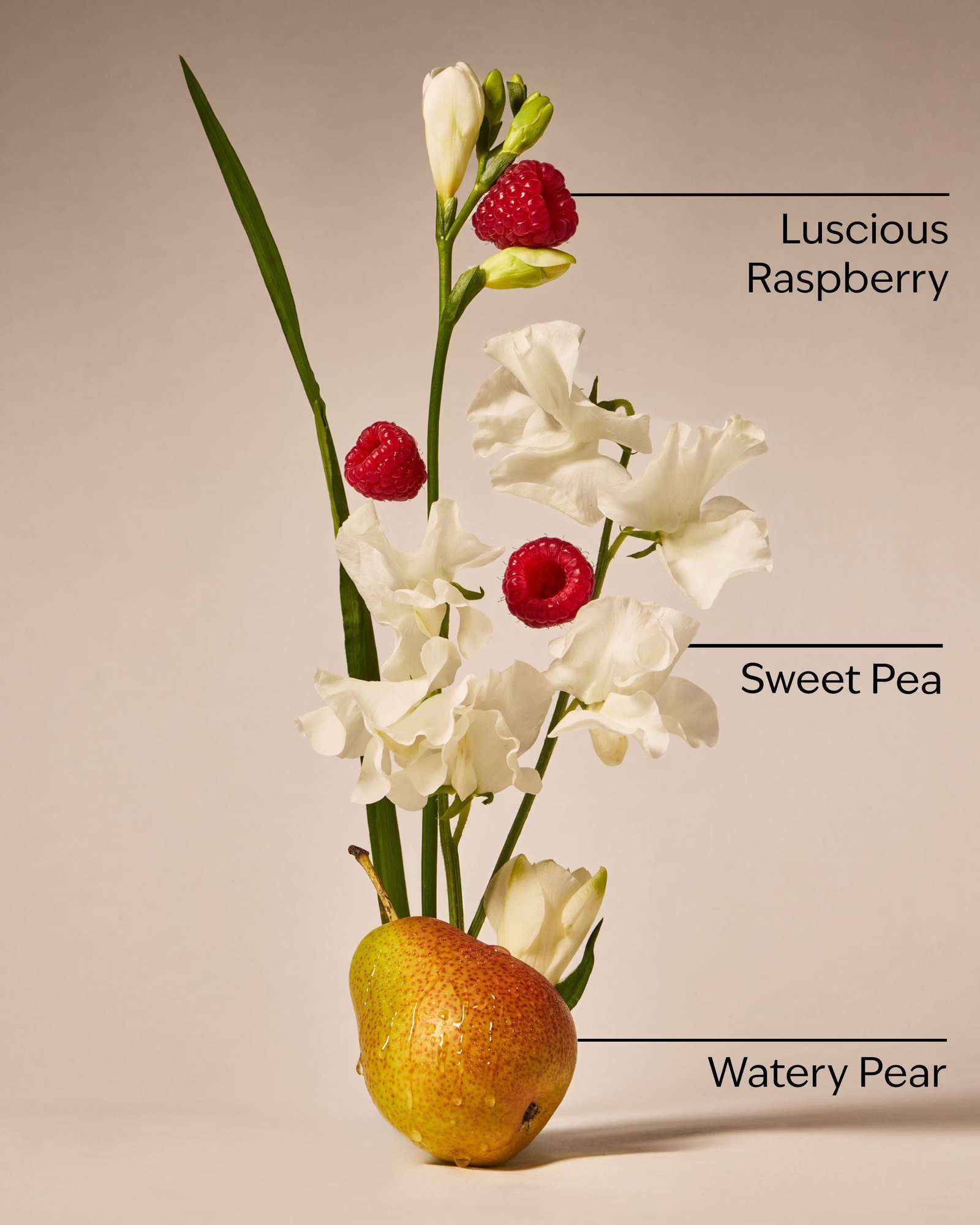 Sweet Pea Body Lotion - Image 3