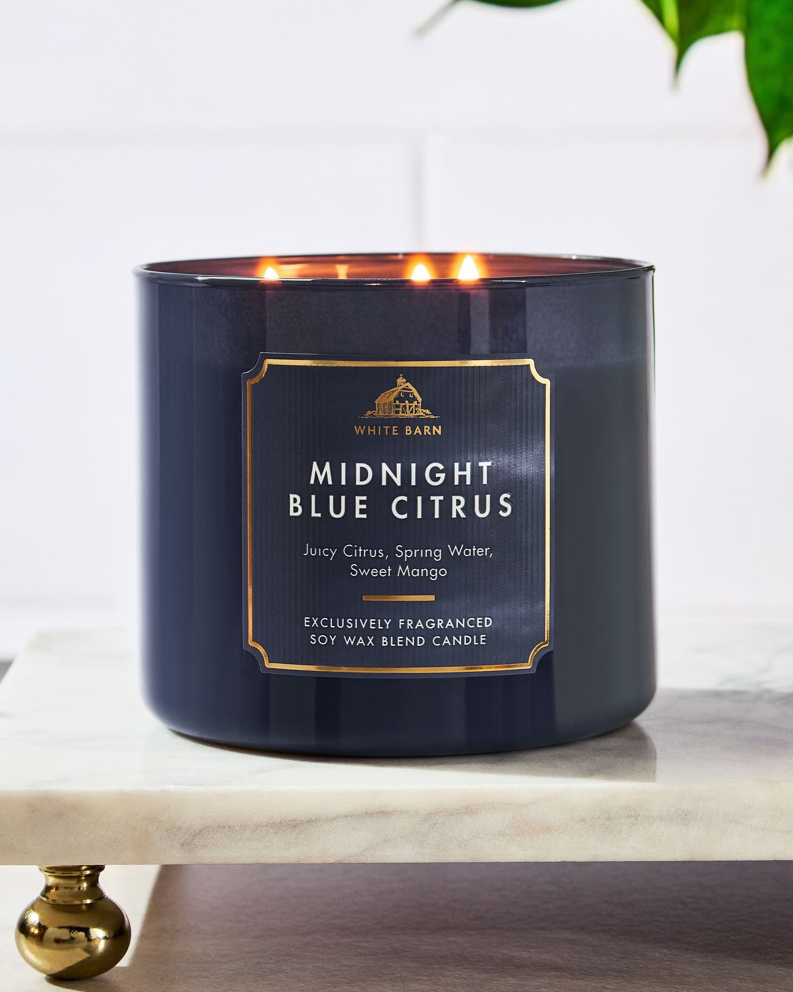 Midnight Blue Citrus 3-Wick Candle - Image 6
