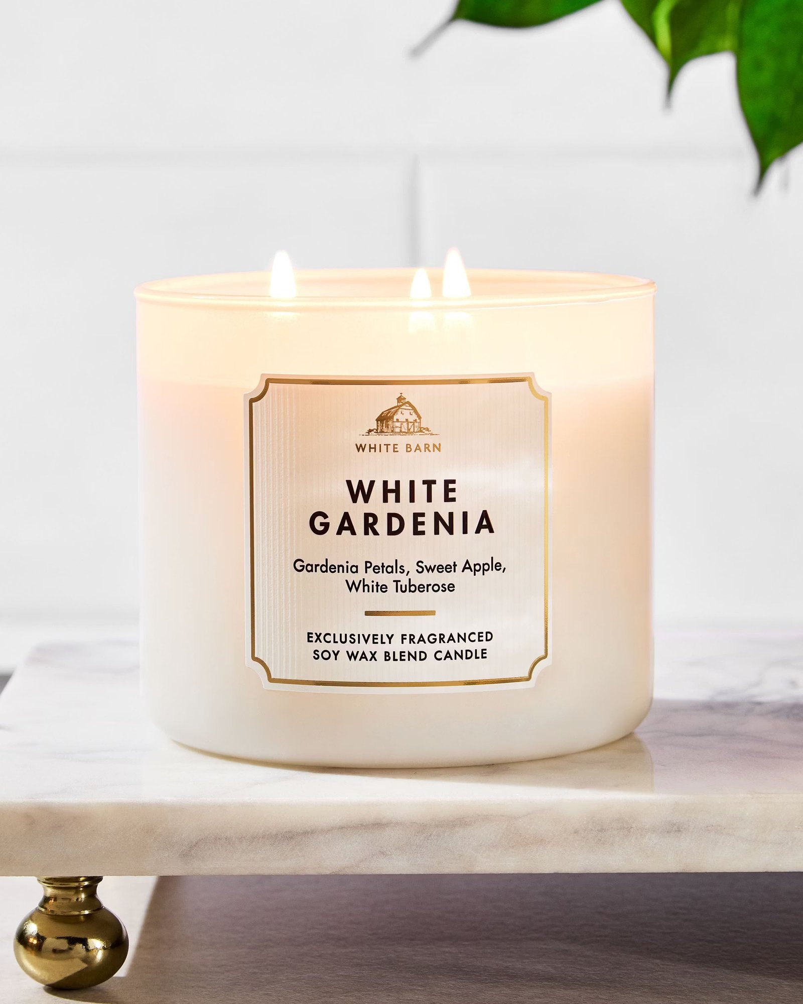 White Gardenia 3-Wick Candle - Image 6