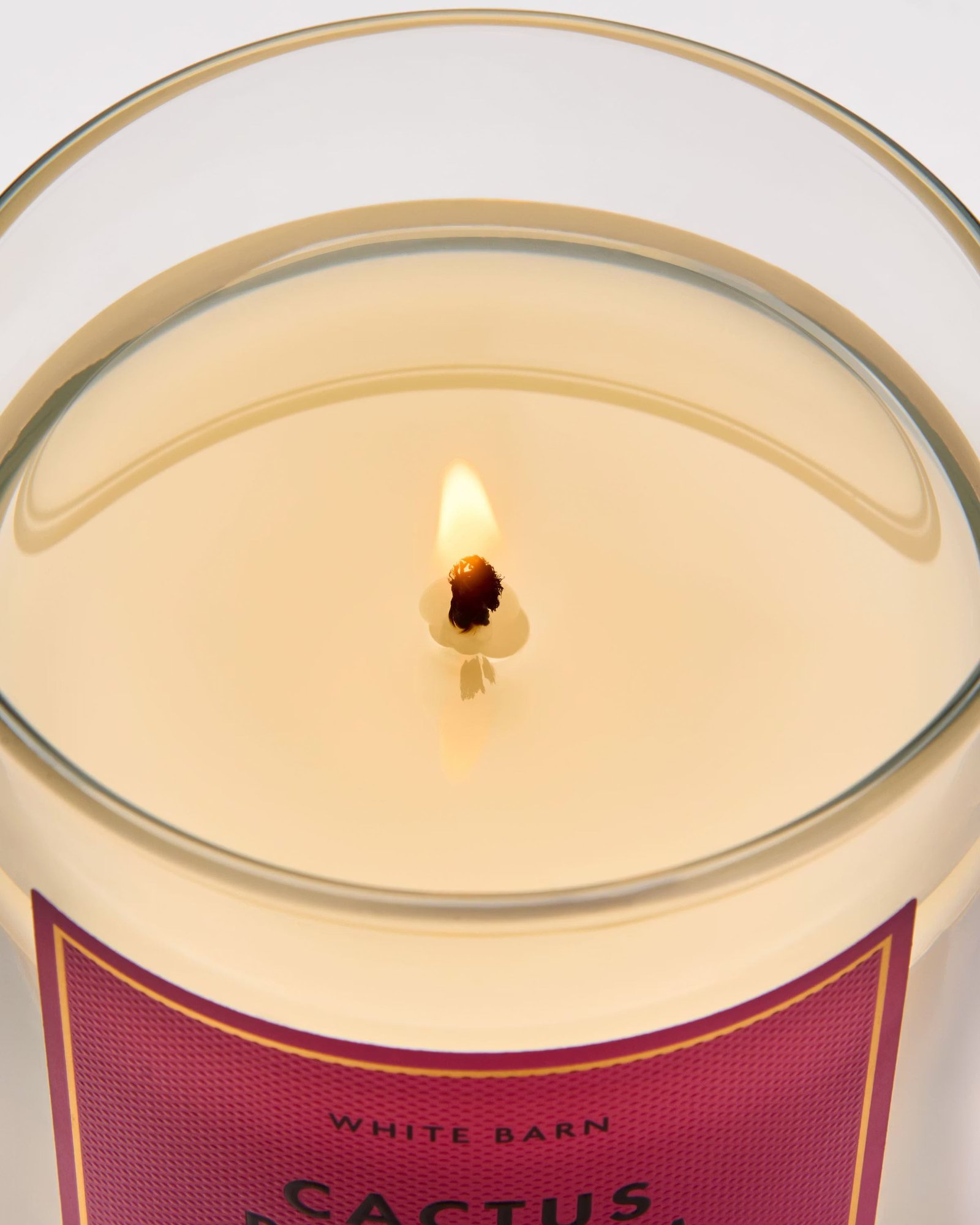 Cactus Blossom Single Wick Candle - Image 5