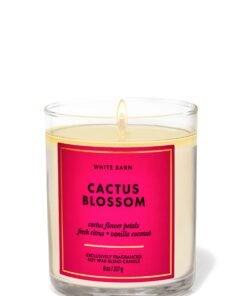 Cactus Blossom Single Wick Candle
