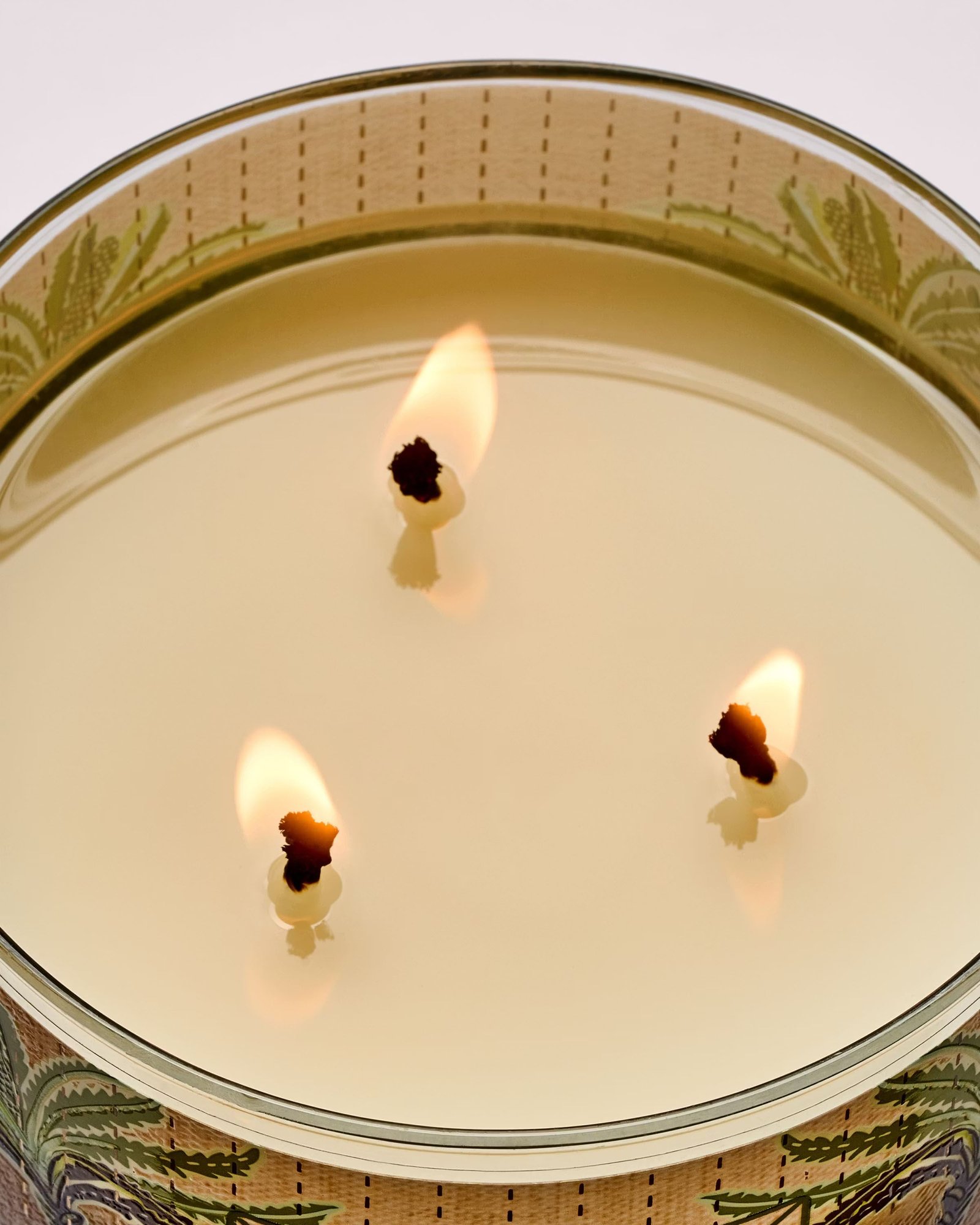 Waikiki Beach Coconut 3-Wick Candle - Image 5