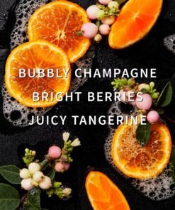Alternative view of Champagne Toast Laundry Detergent