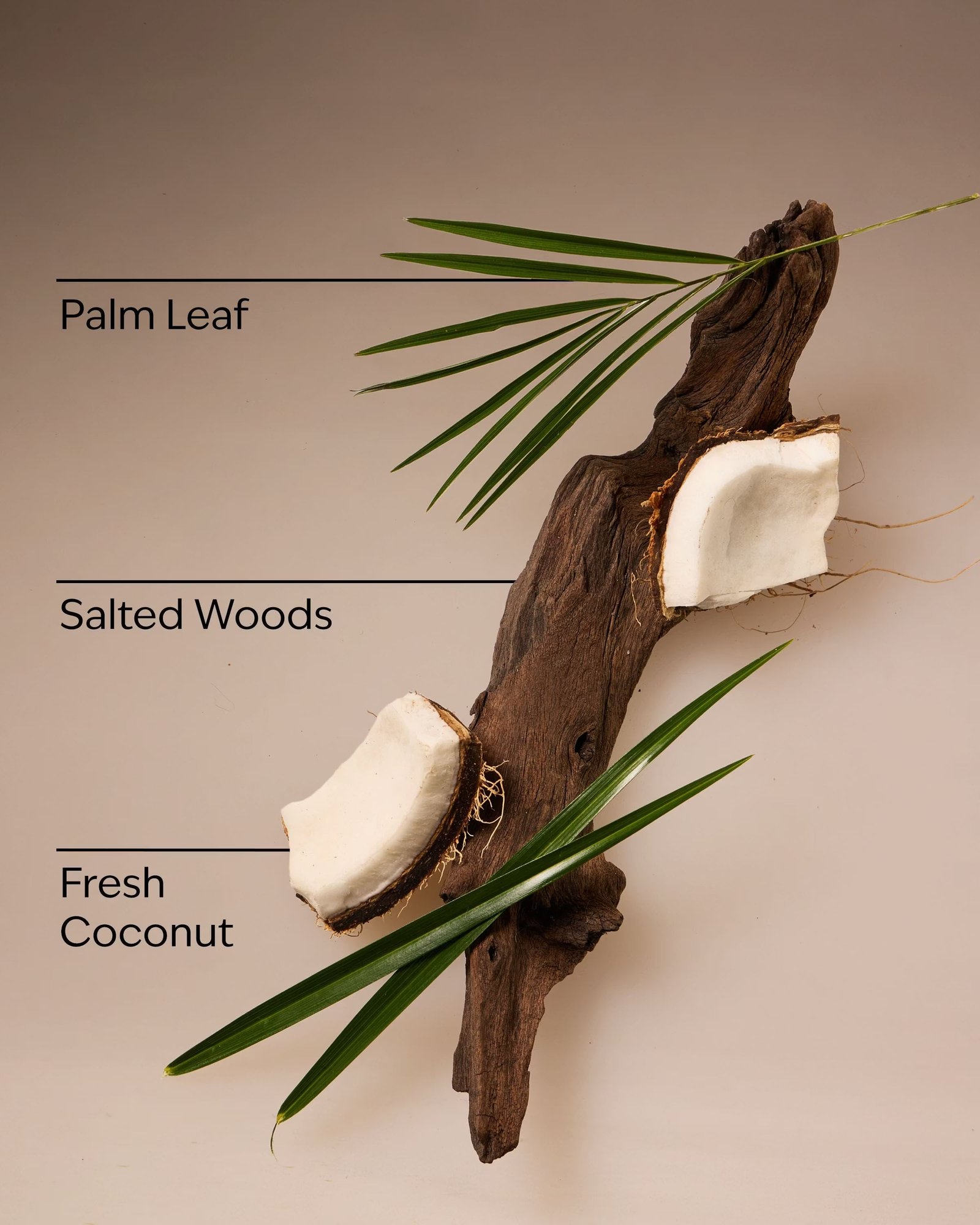Coconut Nectar Travel Size Fine Fragrance Mist - Image 4