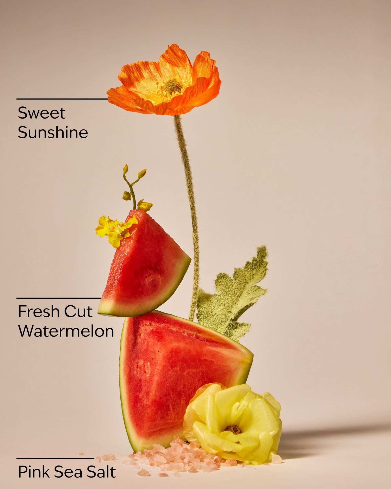 Fresh Watermelon 3-Wick Candle - Image 4