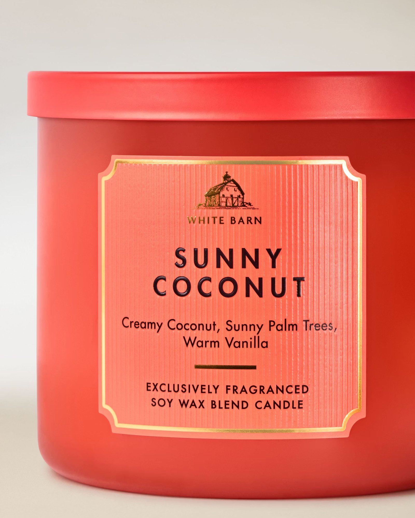 Sunny Coconut 3-Wick Candle - Image 2