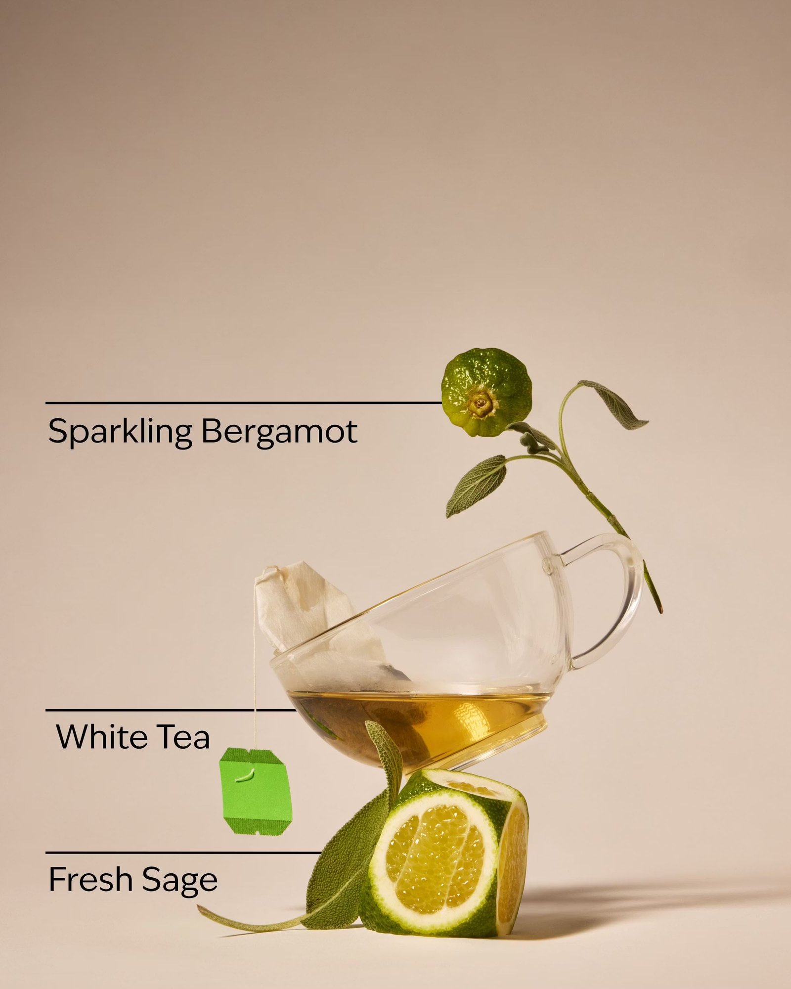 White Tea & Sage Single Wick Candle - Image 3