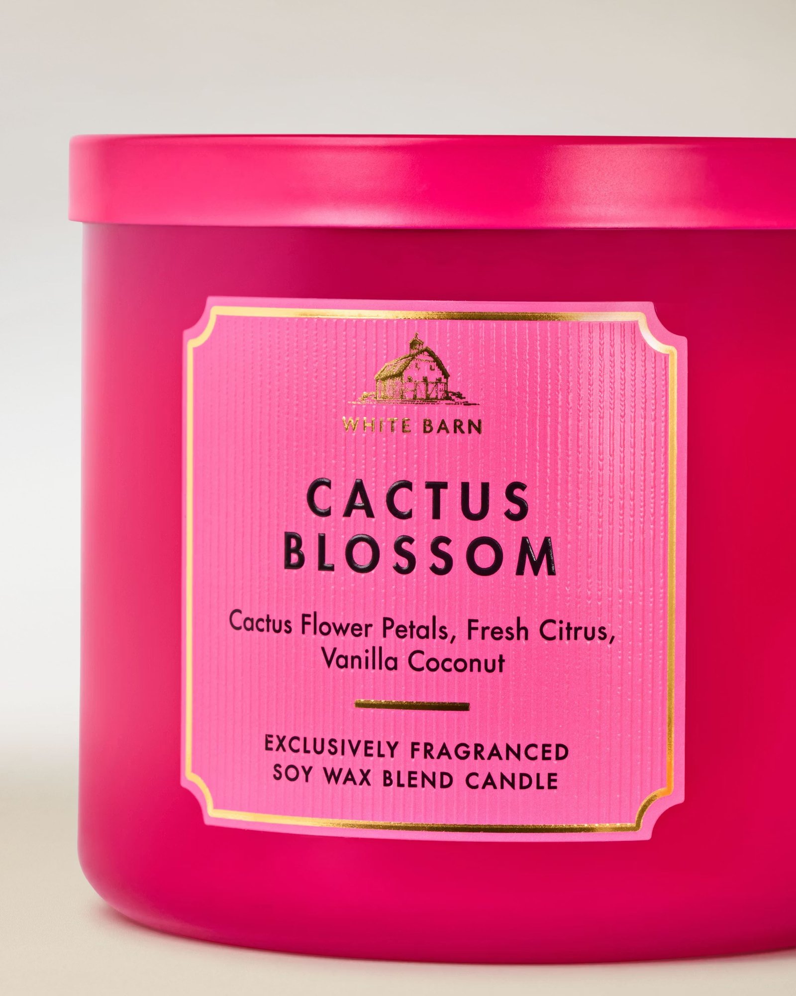 Cactus Blossom 3-Wick Candle - Image 2