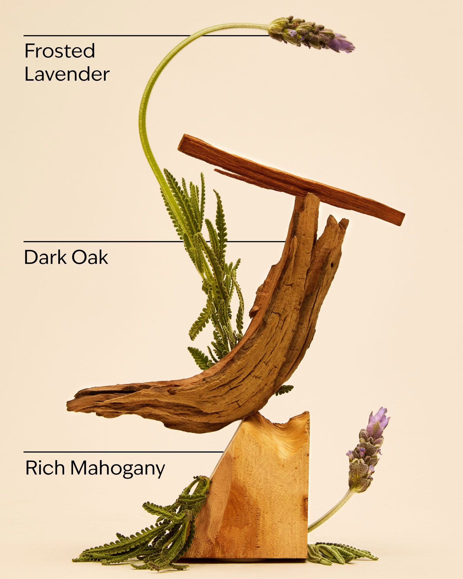 Mahogany Teakwood 3-Wick Candle - Image 3