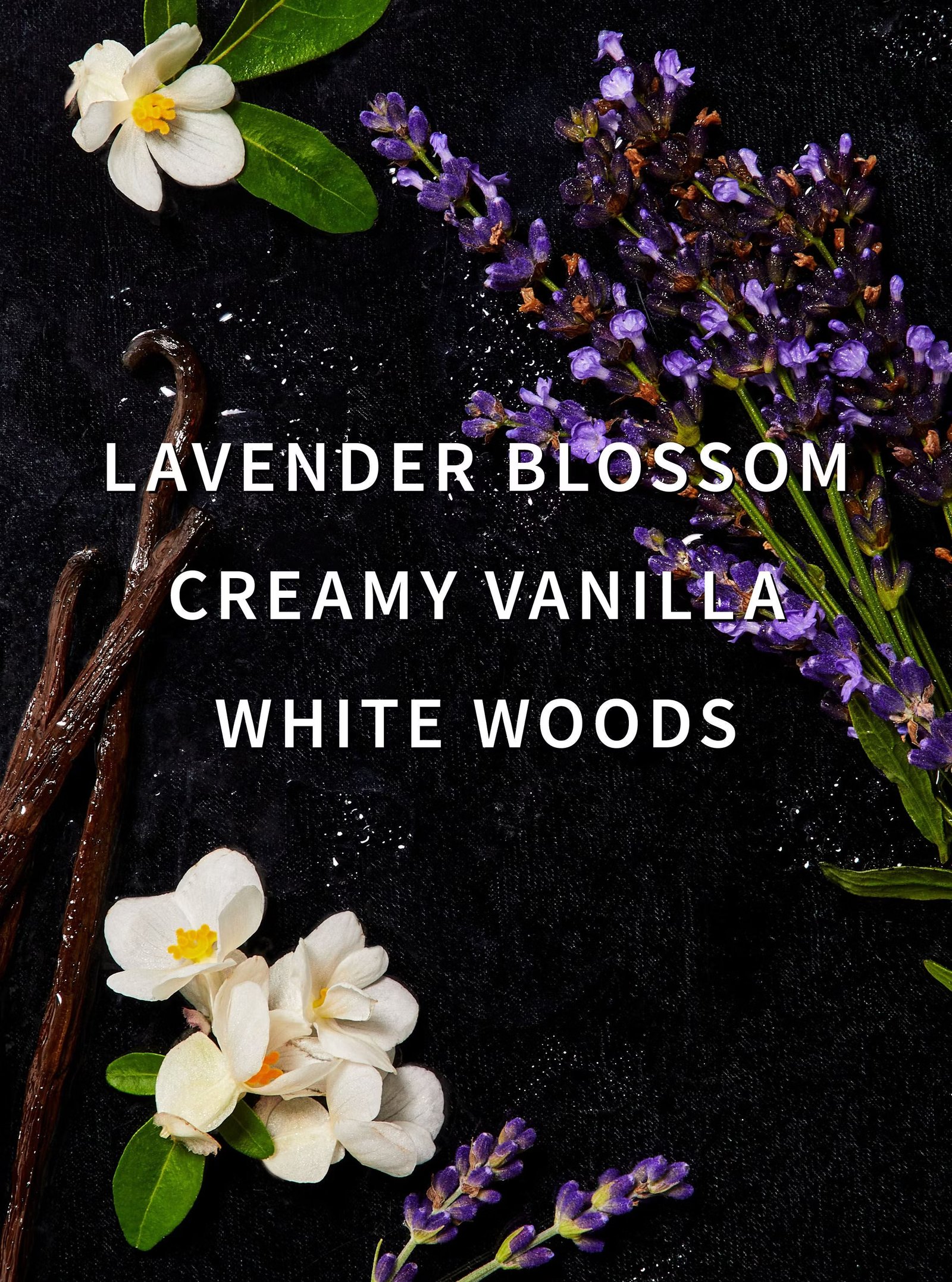 Lavender Vanilla Laundry Detergent - Image 2