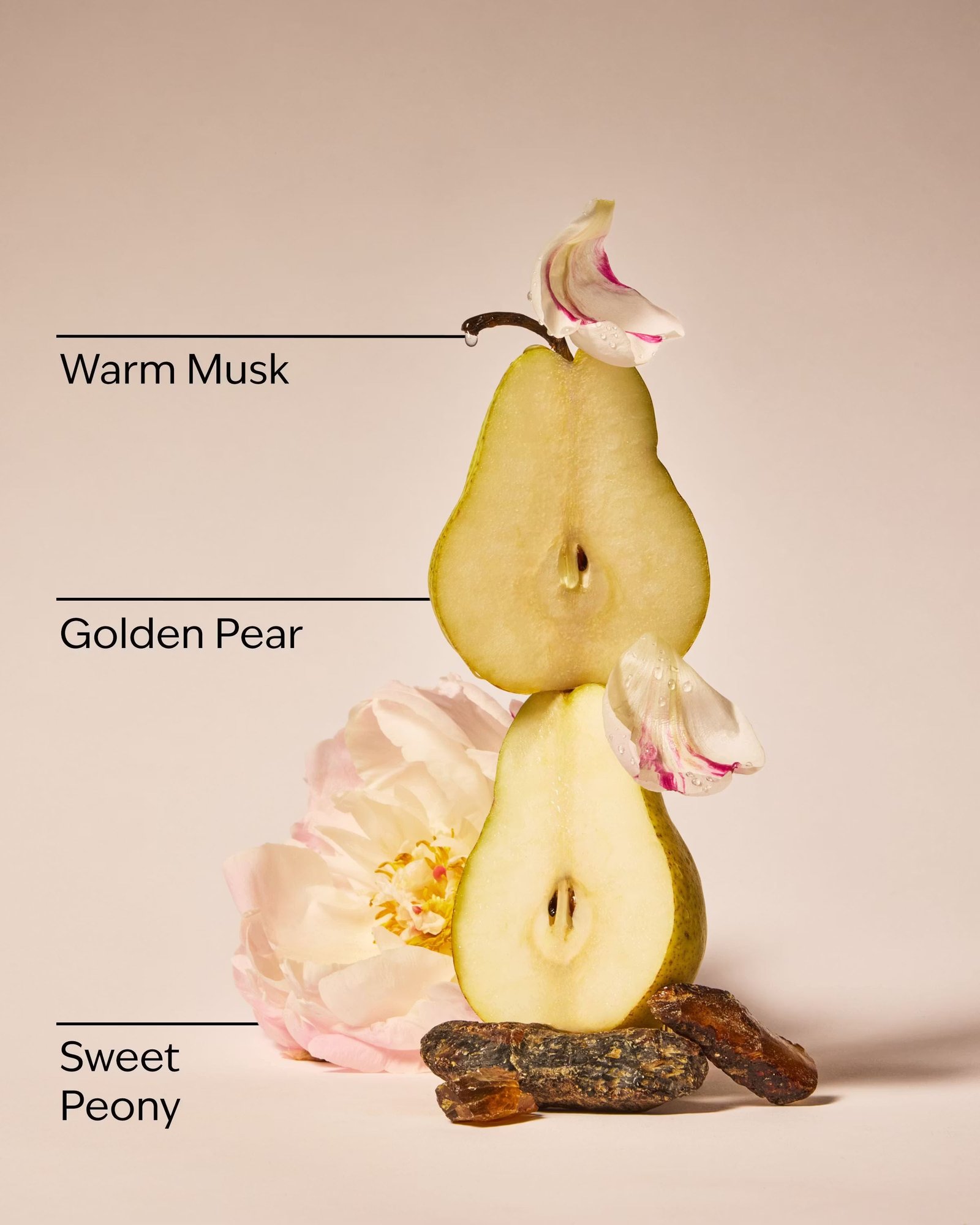 Blush Amber & Peony 3-Wick Candle - Image 3