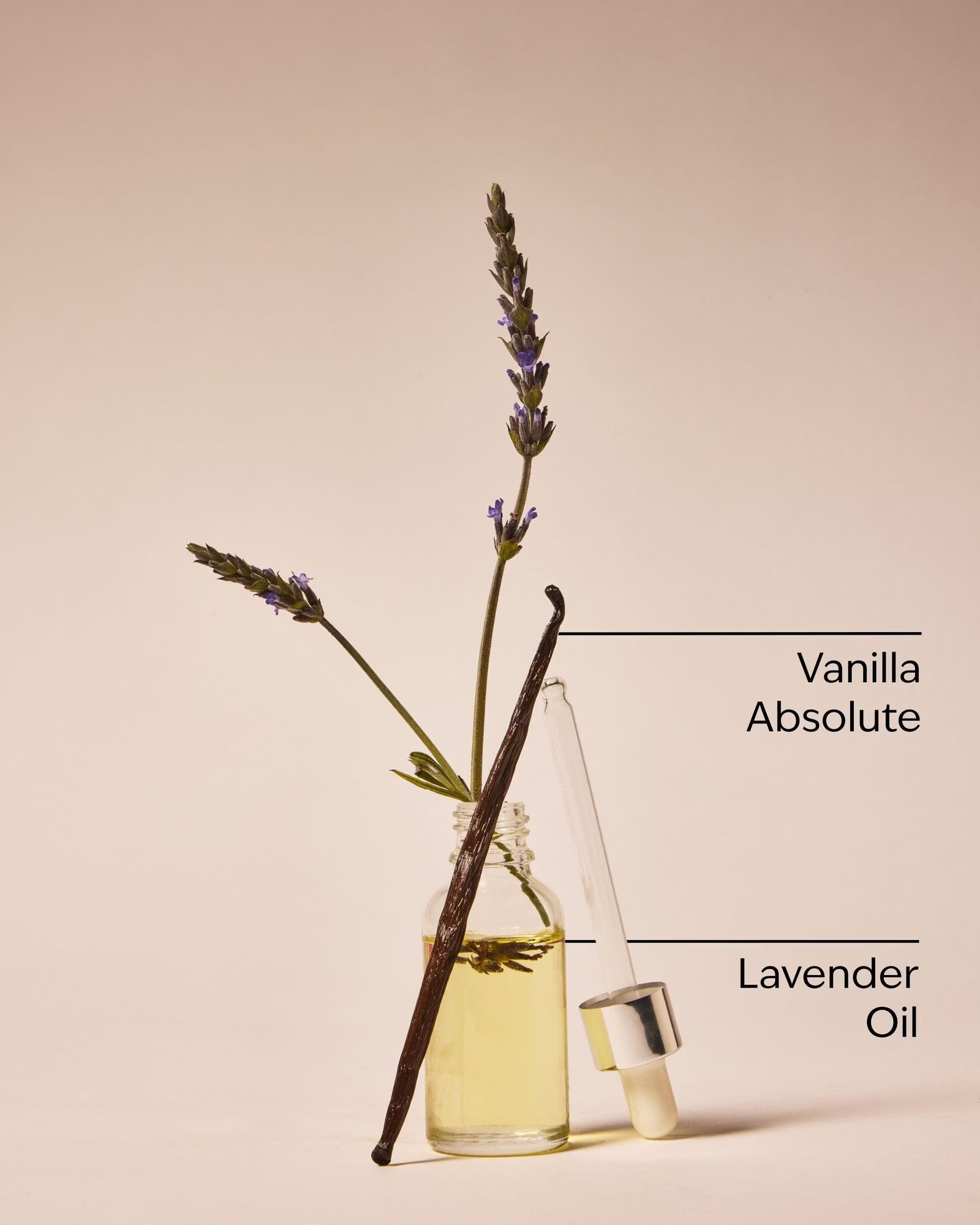 Lavender Vanilla Hand Cream - Image 3