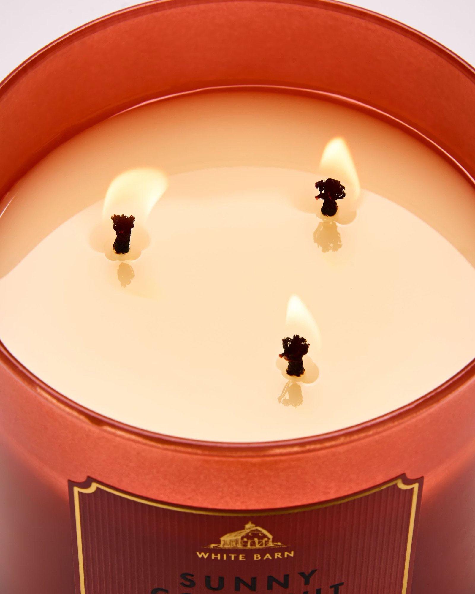 Sunny Coconut 3-Wick Candle - Image 4