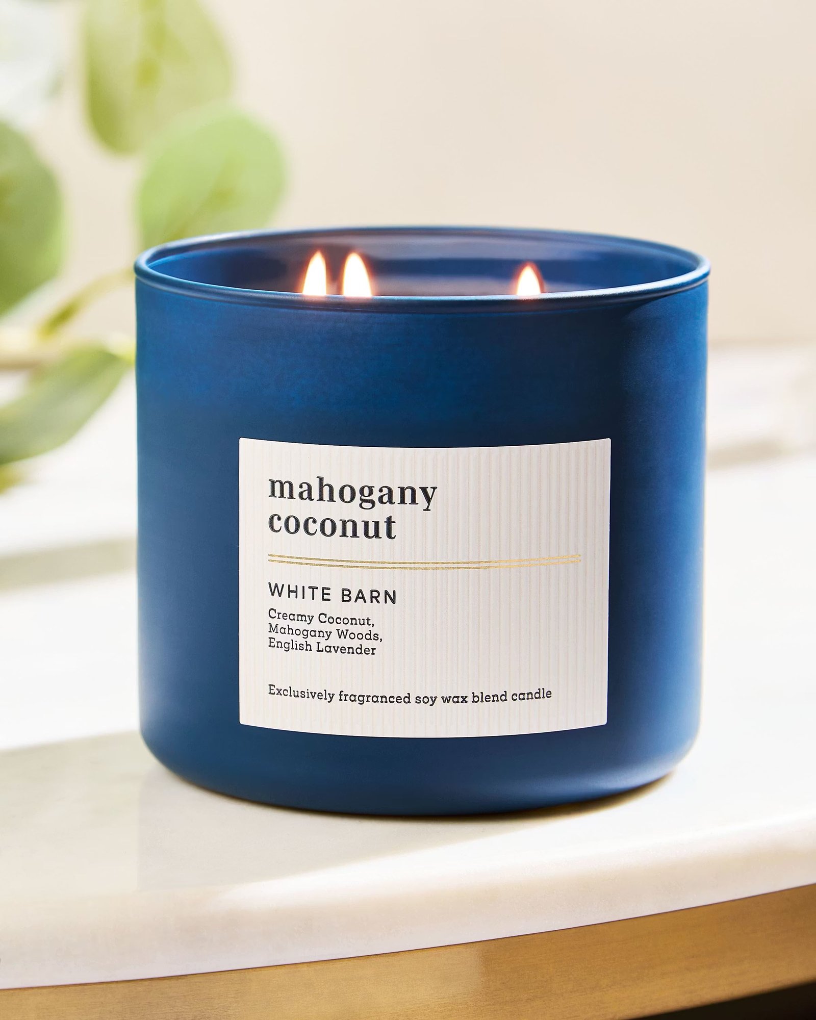 Mahogany Coconut 3-Wick Candle - Image 6