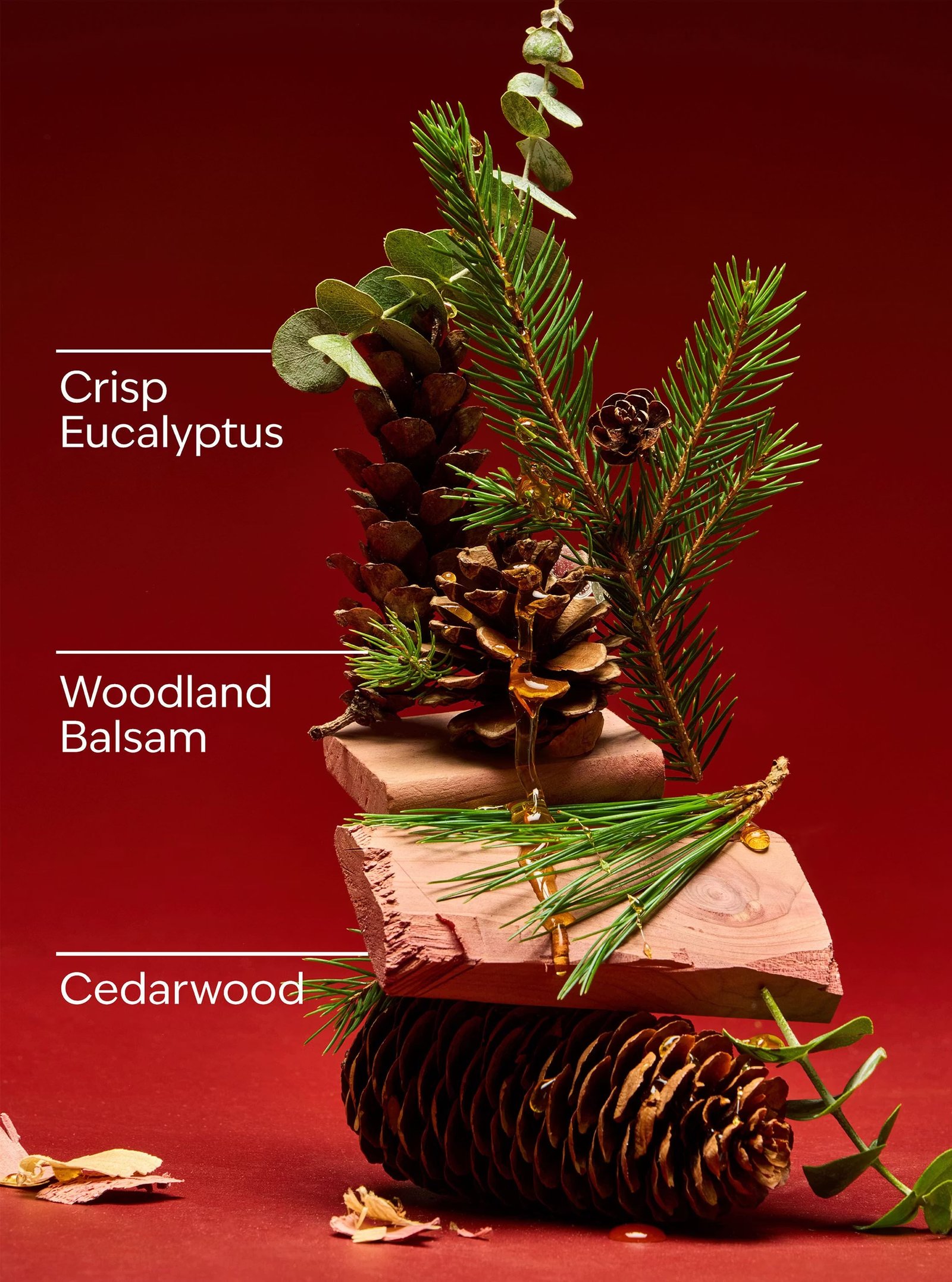 Fresh Balsam 3-Wick Candle - Image 3