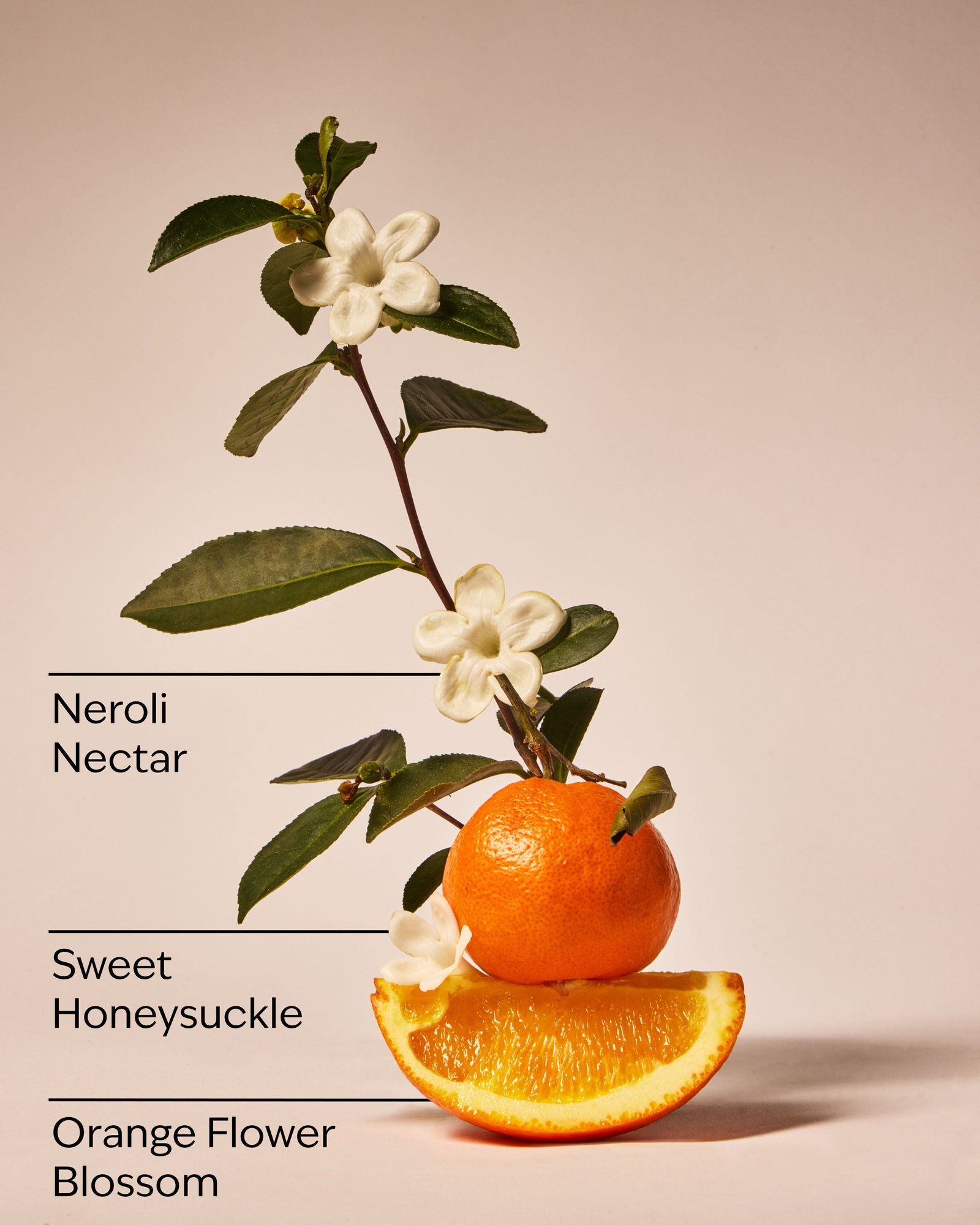 Backyard Honeysuckle Single Wick Candle - Image 3