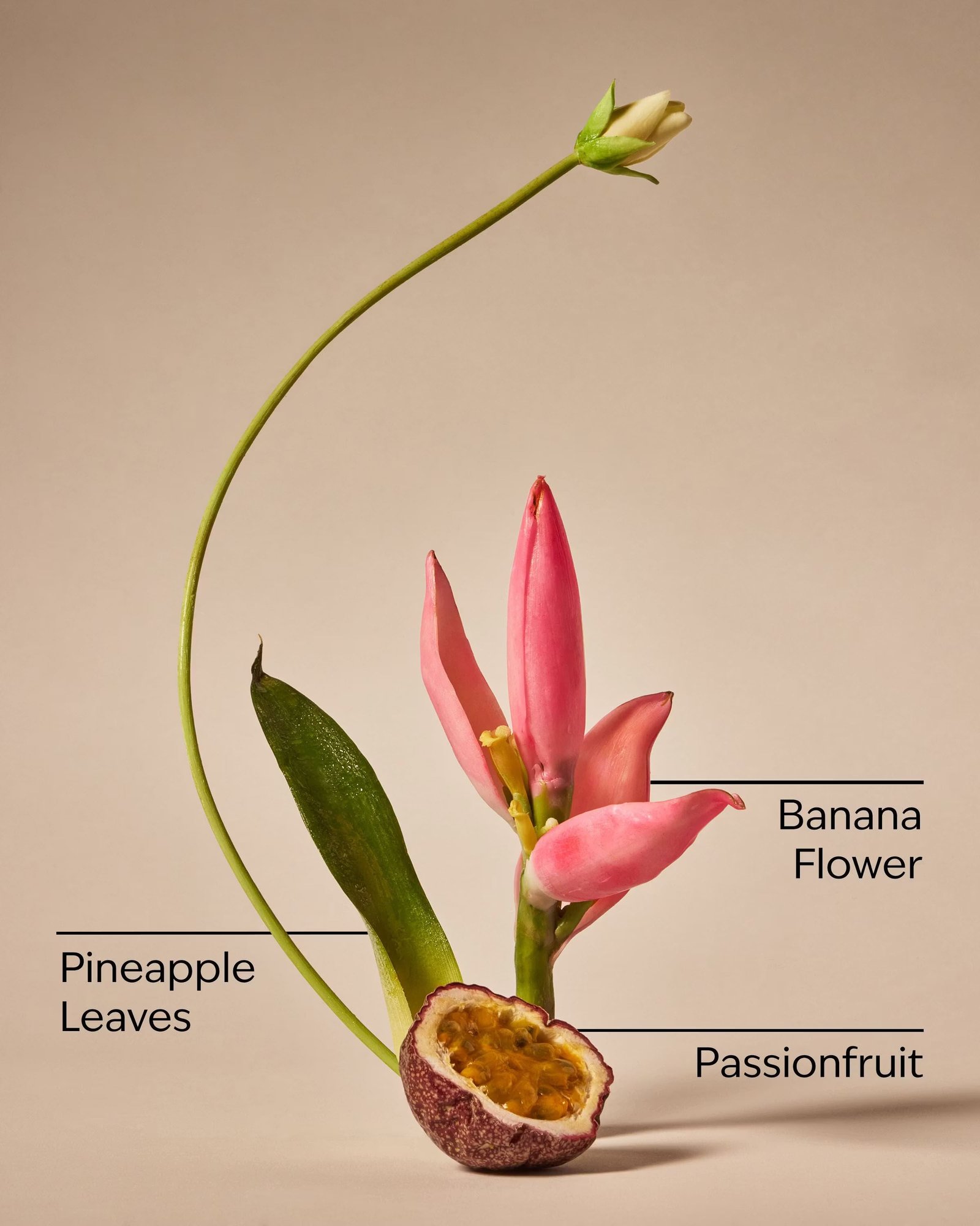 Bahamas Passionfruit & Banana Flower Ultimate Hydration Body Cream - Image 3