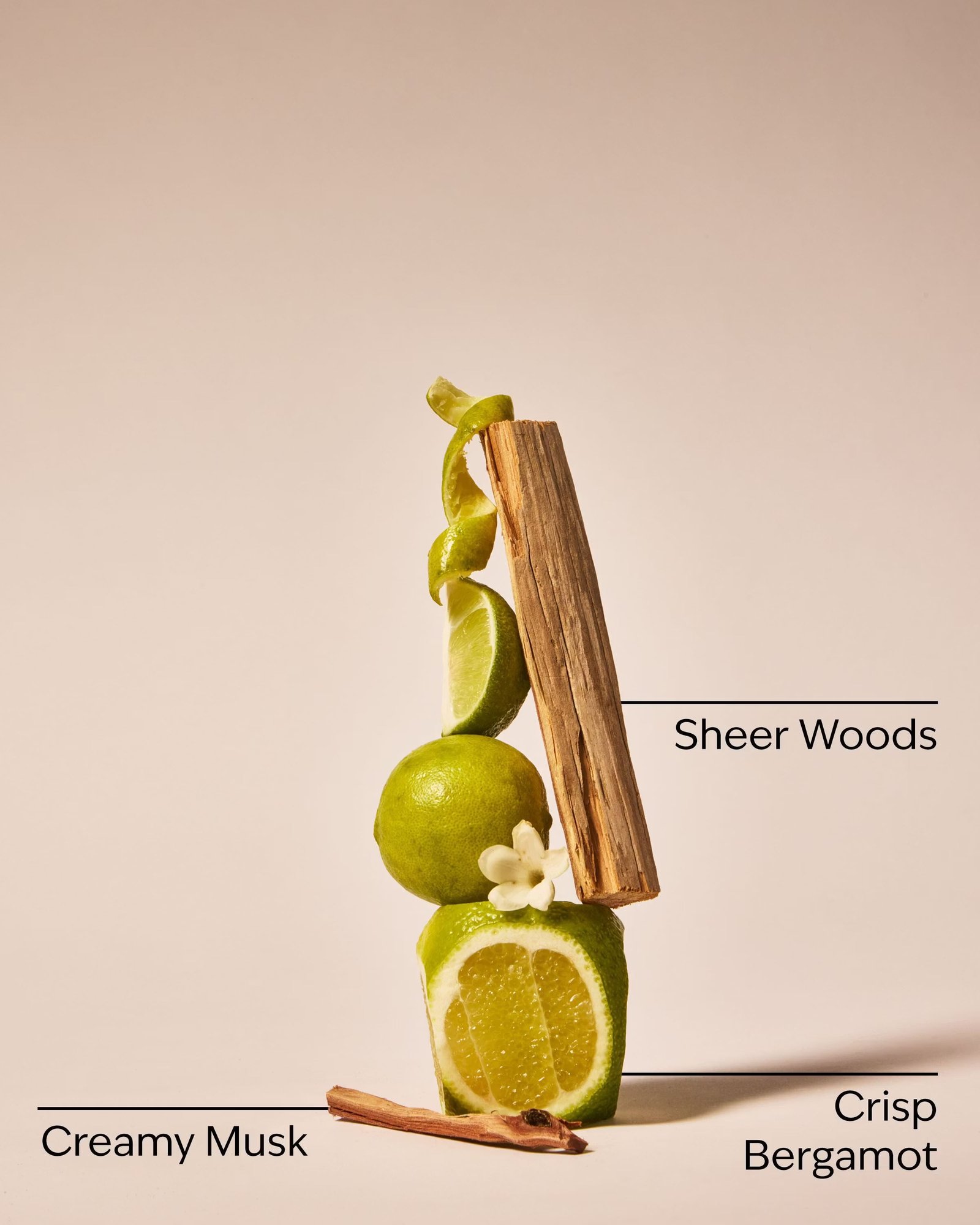 Fresh Musk Body Wash - Image 3