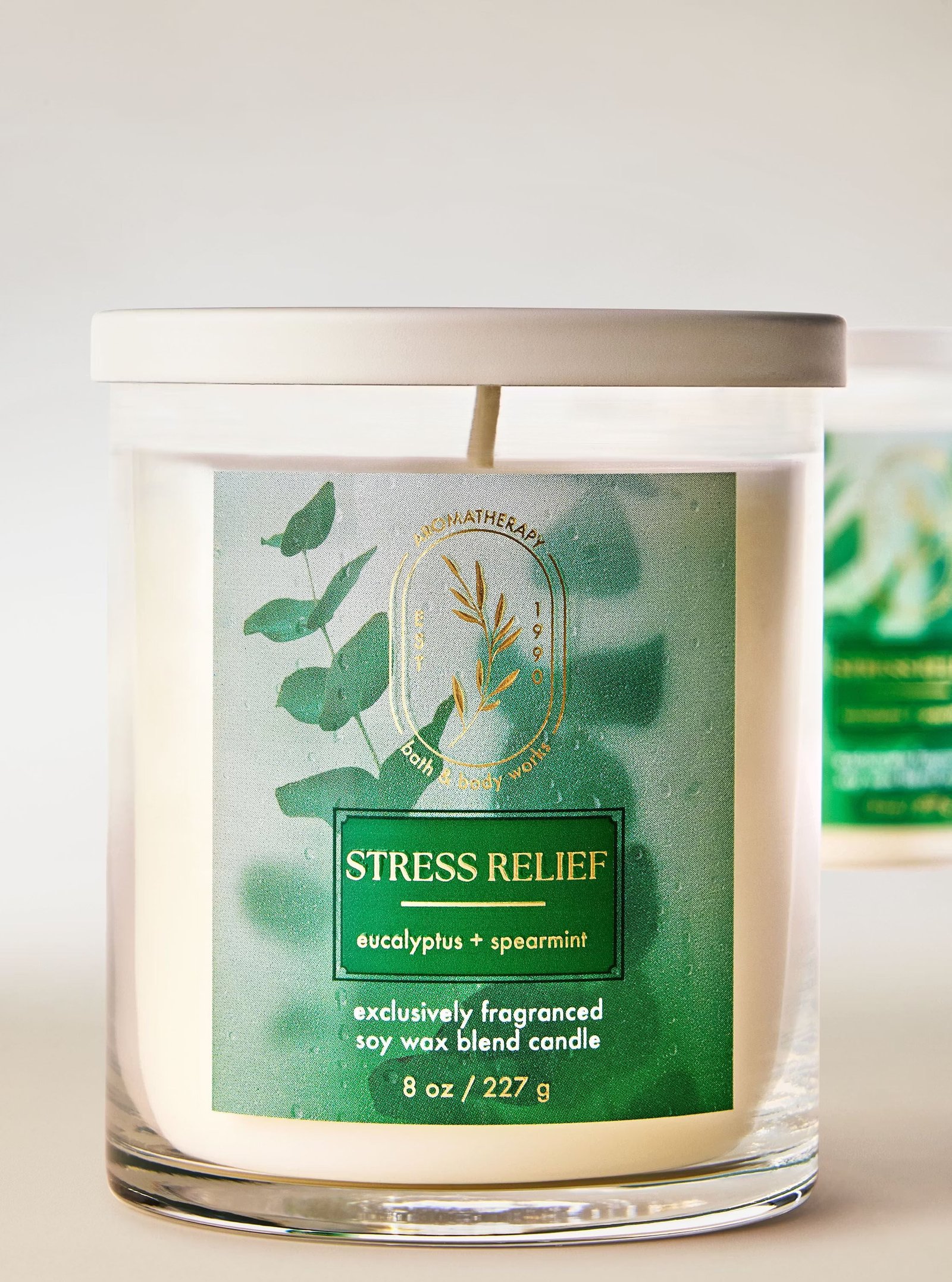 Eucalyptus Spearmint Single Wick Candle - Image 2