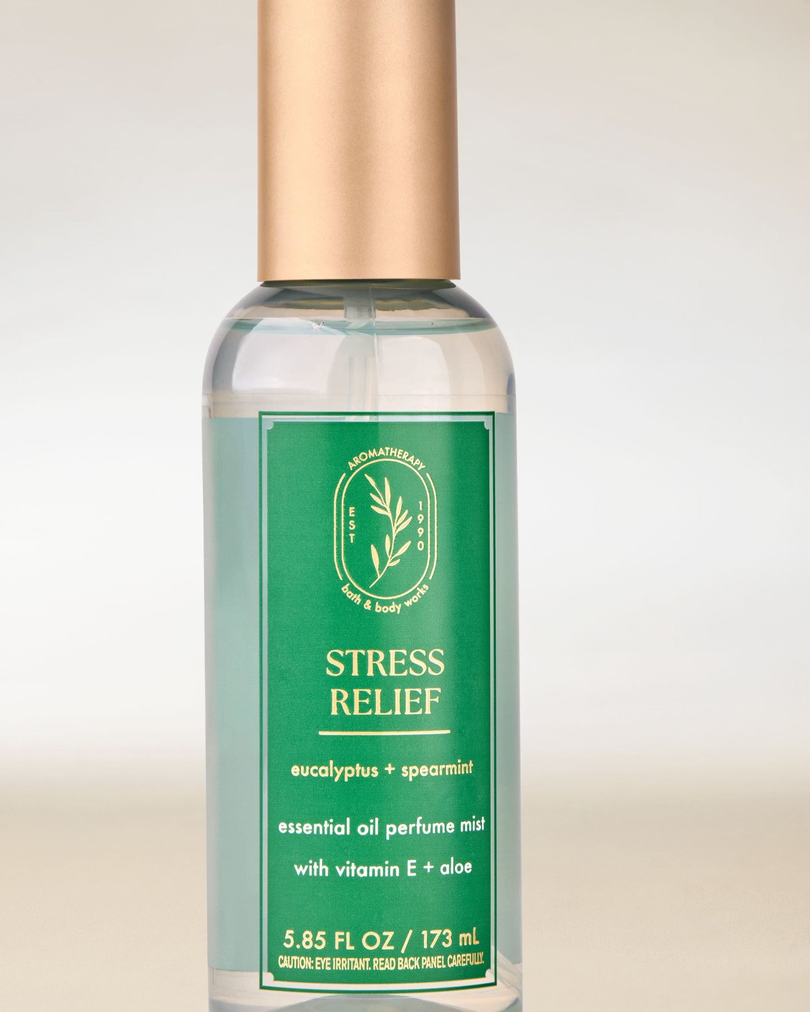 Eucalyptus Spearmint Essential Oil Mist - Image 2