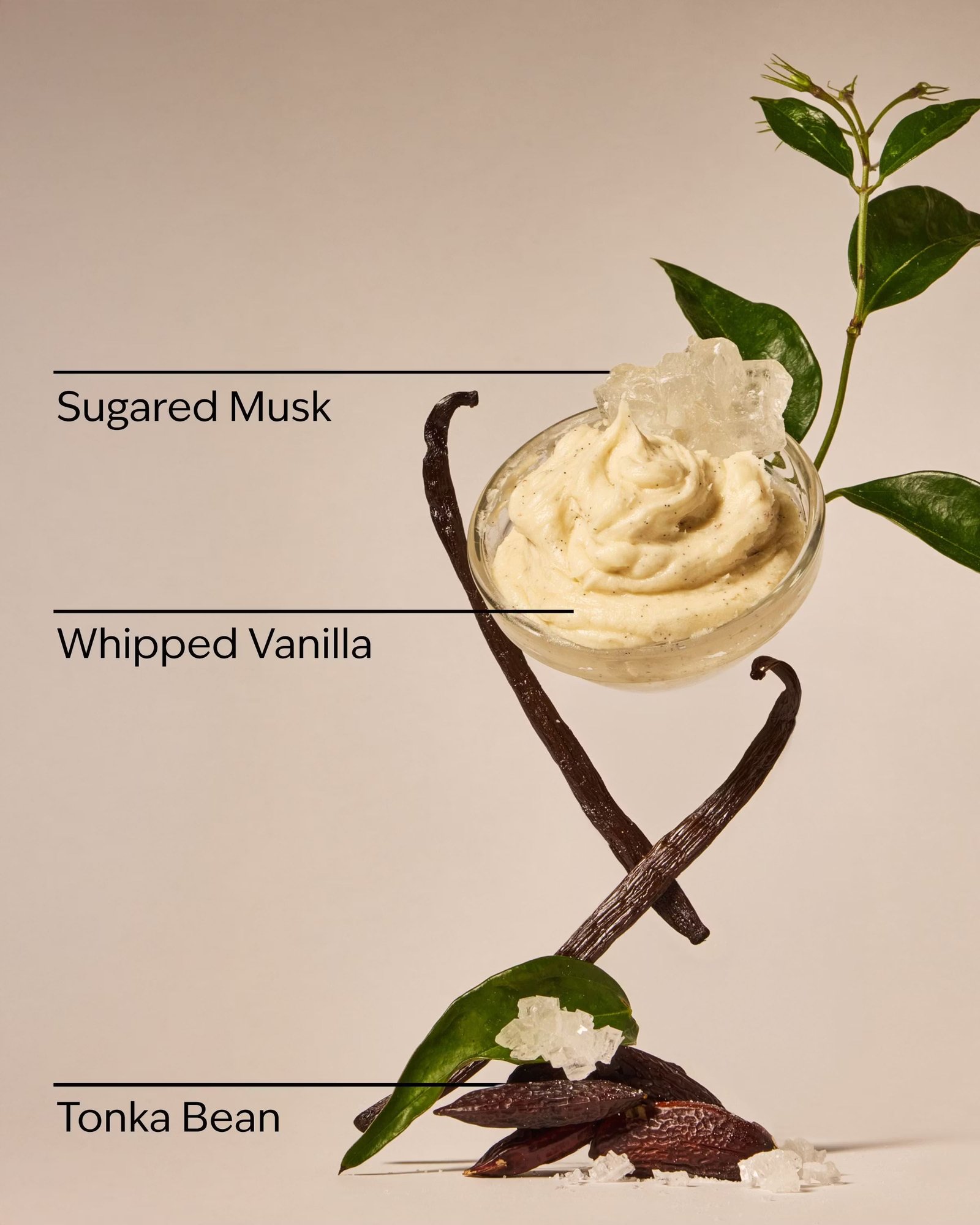 Wild Vanilla Travel Size Fine Fragrance Mist - Image 3