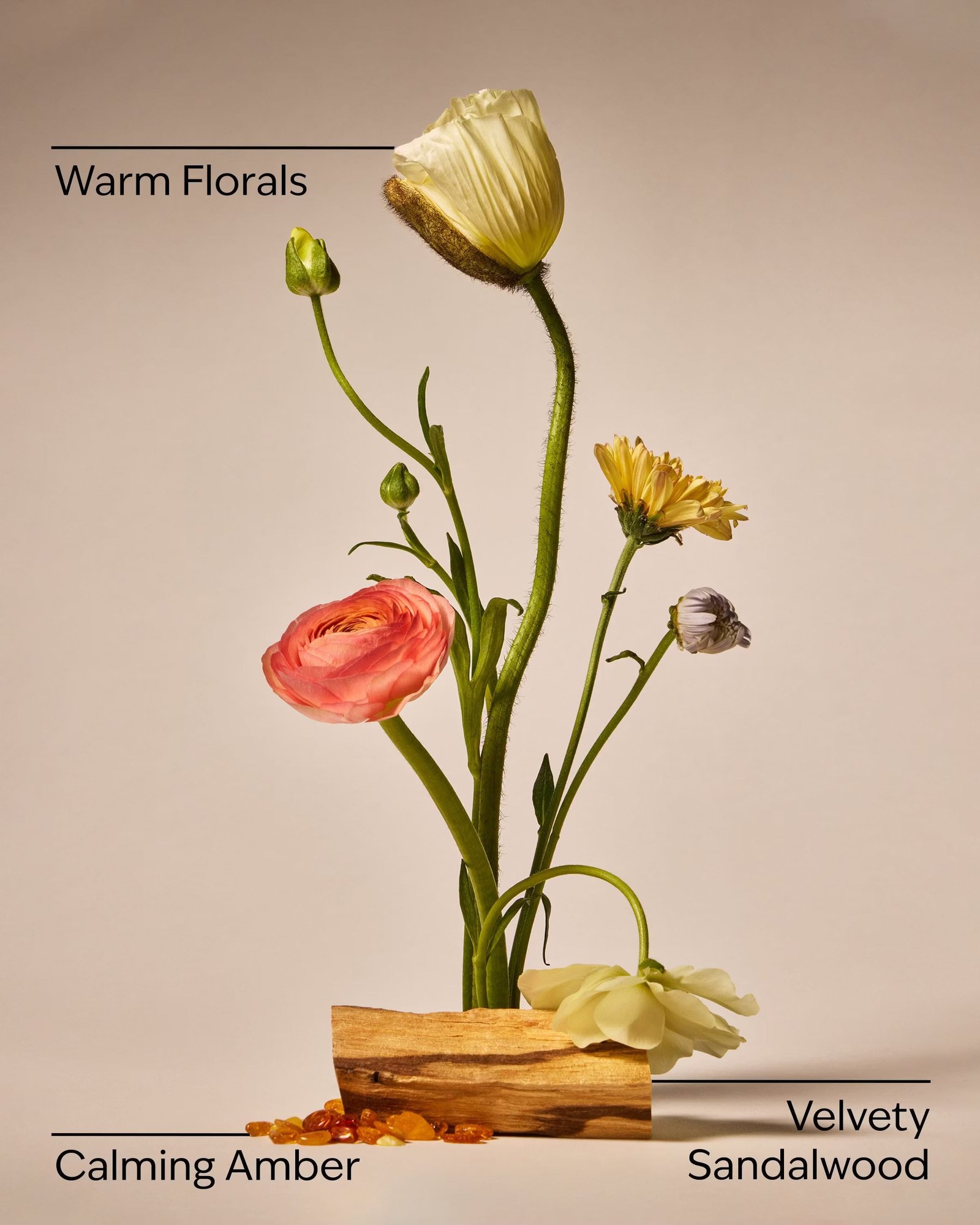 Warm Summer Evening Single Wick Candle - Image 3