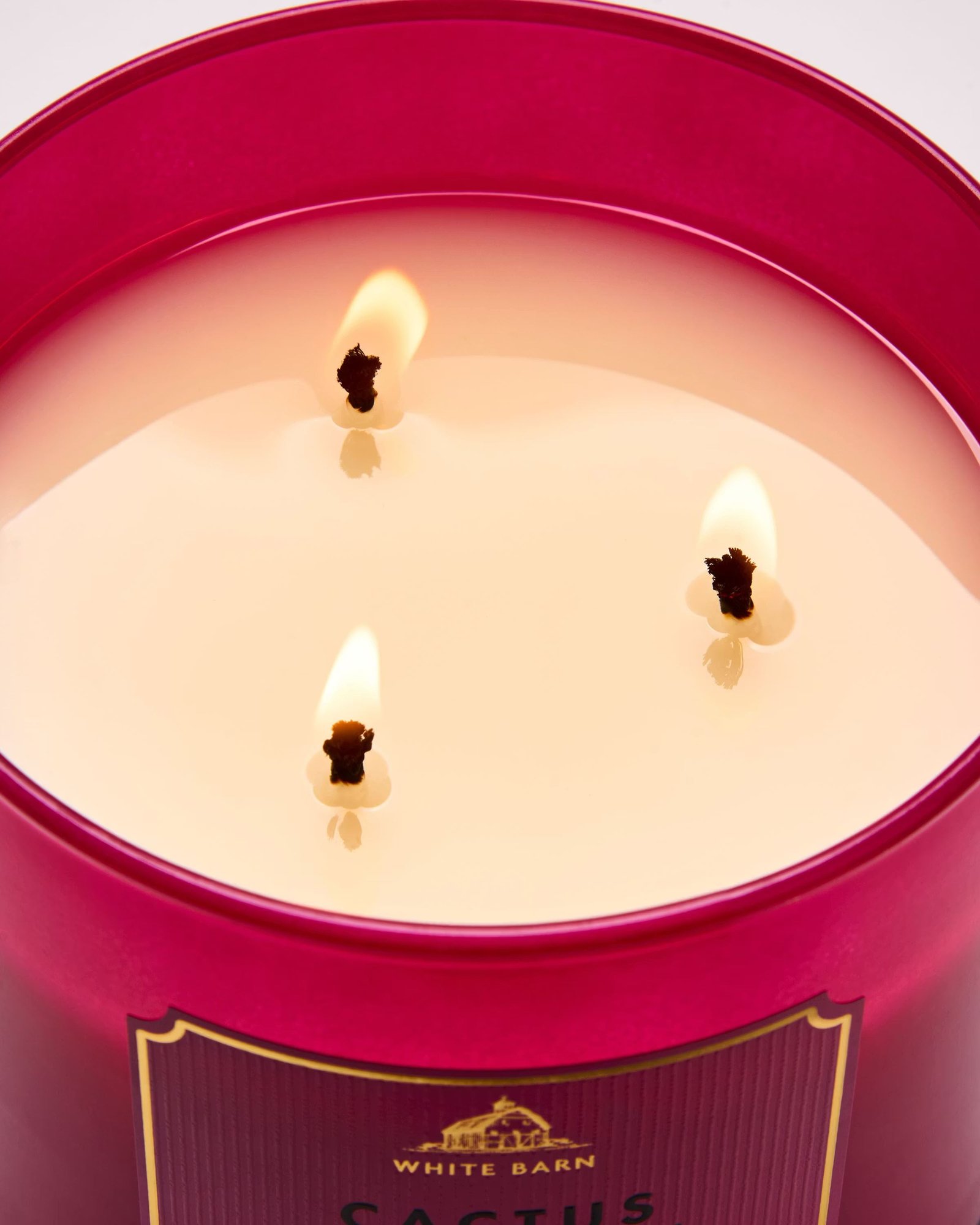 Cactus Blossom 3-Wick Candle - Image 5