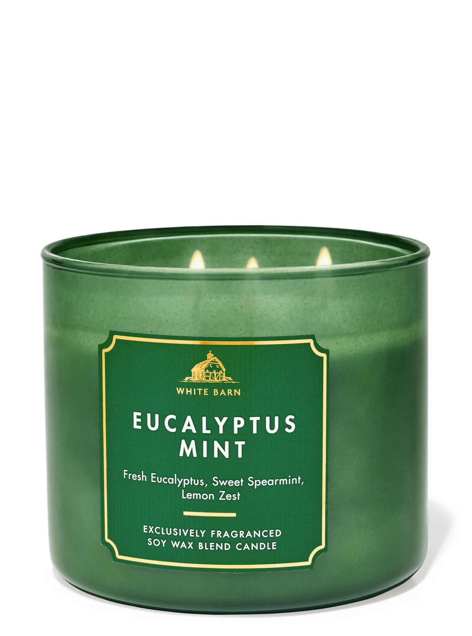 Eucalyptus Mint 3-Wick Candle - Image 2