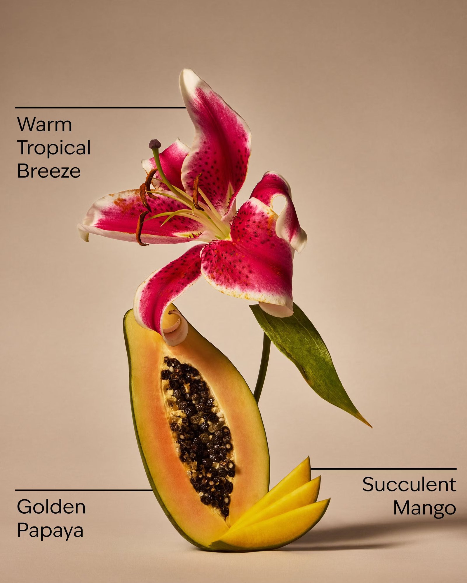 Mango Papaya Paradise 3-Wick Candle - Image 3
