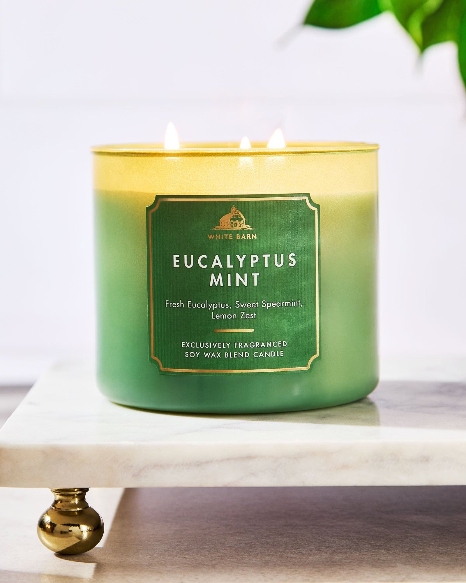 Eucalyptus Mint 3-Wick Candle - Image 6