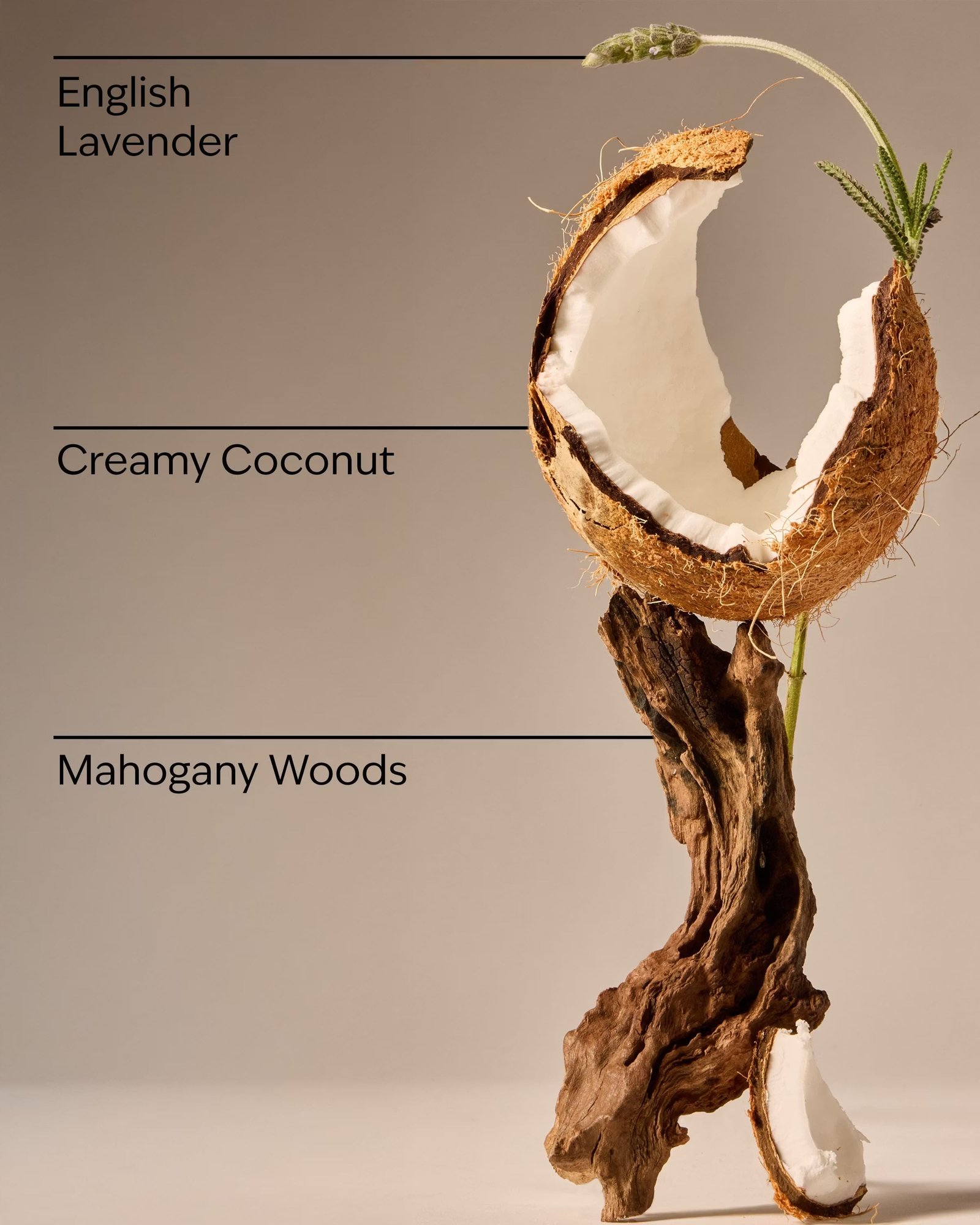 Mahogany Coconut 3-Wick Candle - Image 3