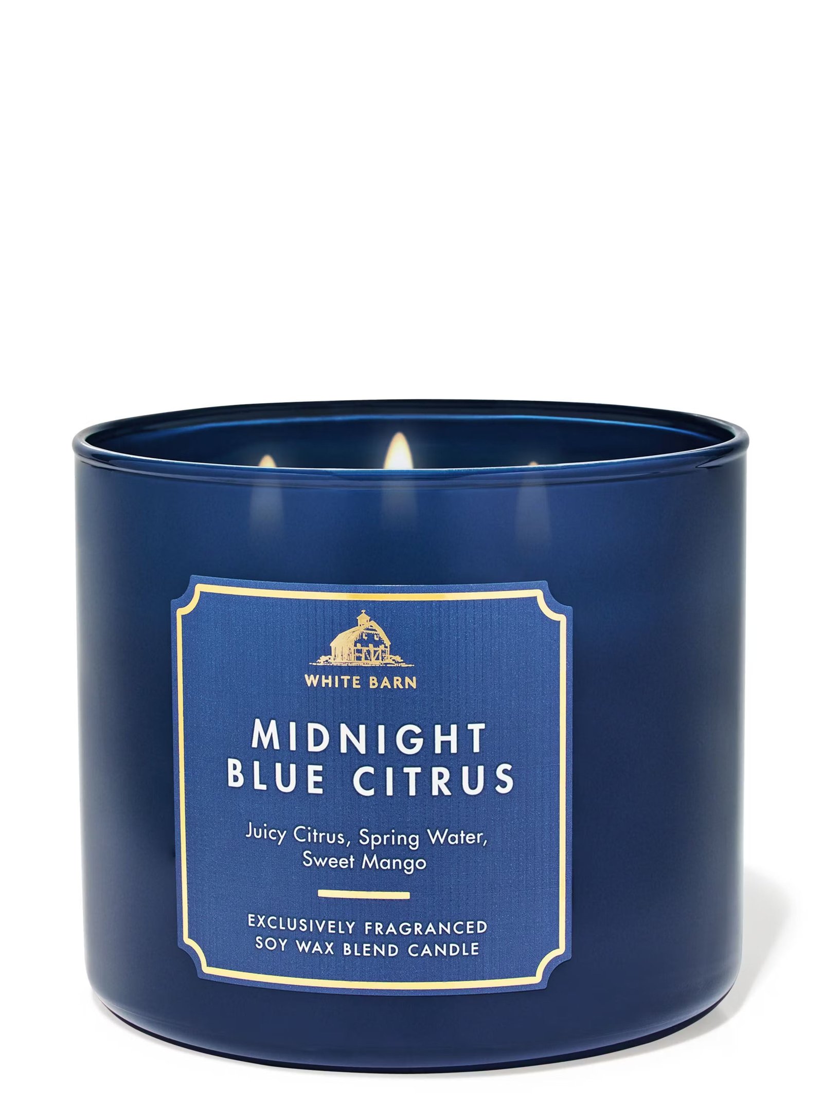Midnight Blue Citrus 3-Wick Candle - Image 2